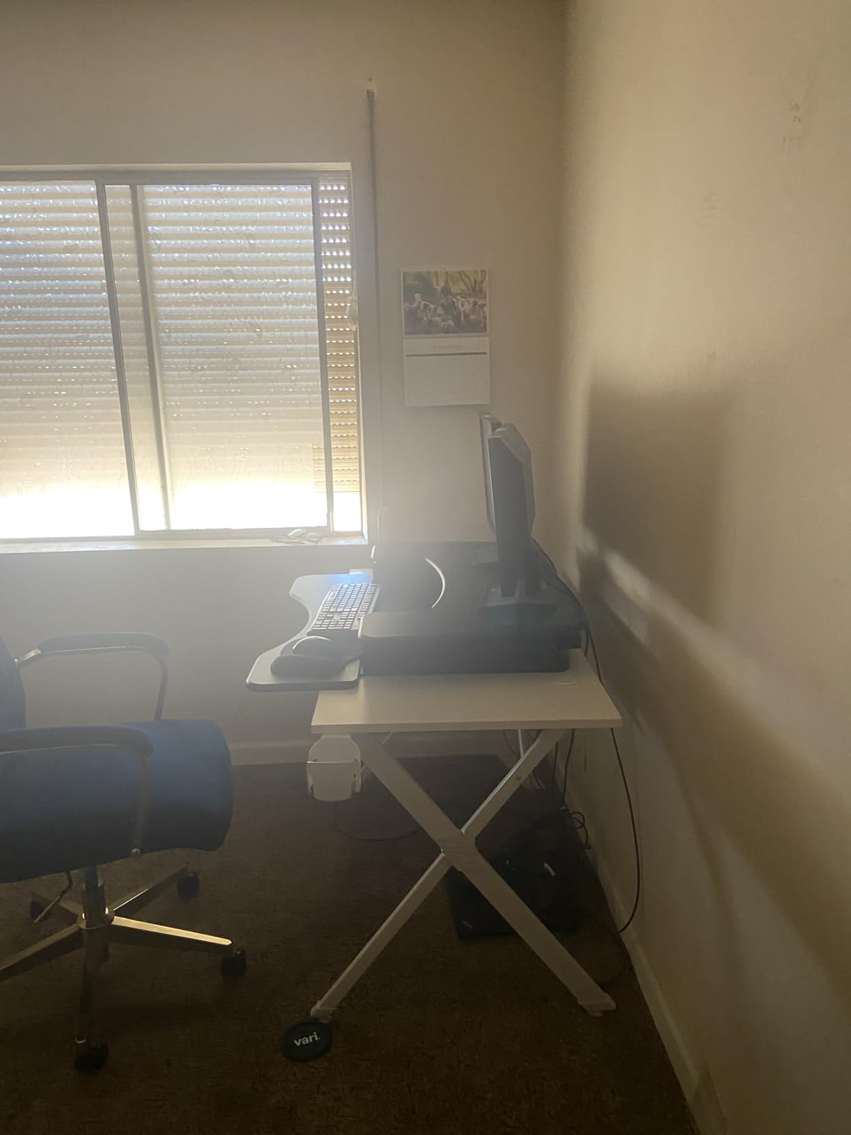 VariDesk Pro Plus 36 - Adjustable Desk Converter with 11 Height Settings - Fully Assembled with Spring Loaded Lift customer photo 2
