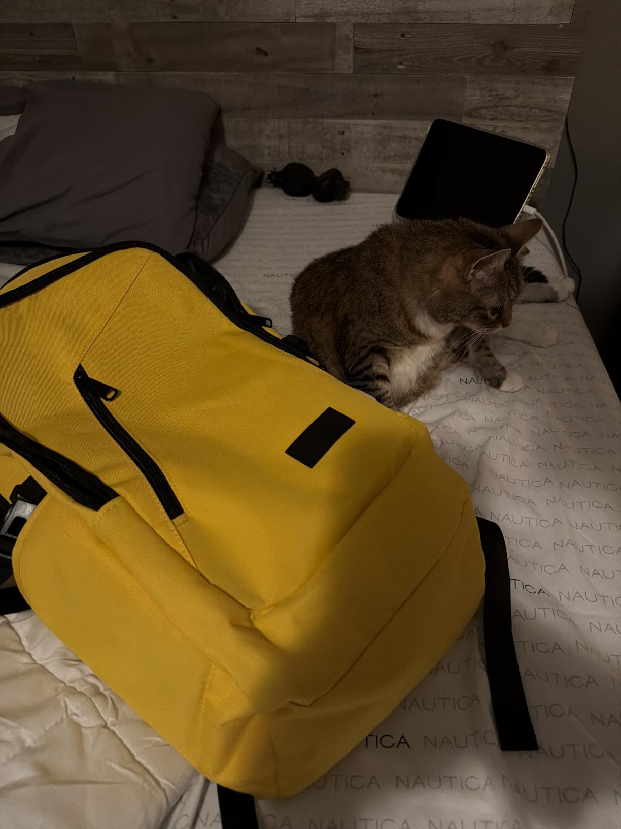 Mancro Business Travel Laptop Backpack, Anti Theft Slim Laptop Bag for Men and Women, Tech Computer Bag Fits 15.6 Inch Laptop and Notebook (Black) customer photo 1