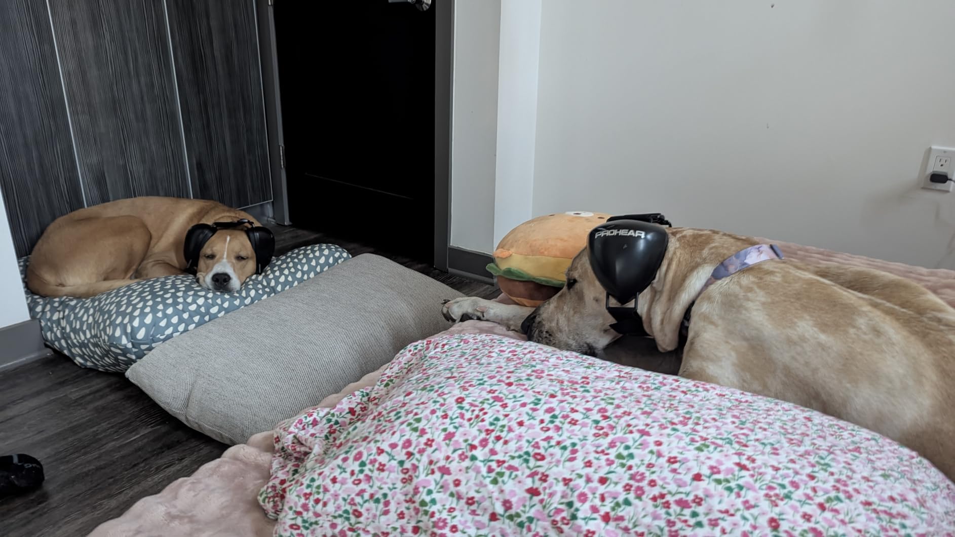 SNOOZ Smart White Noise Machine - Real Fan Inside for Non-Looping Sound, Portable Sleep Aid for Adults, Dogs, Travel, Home, Bedroom, Sleeping, Office Privacy, Therapy, & Baby Registry Essential- Cloud customer photo 2