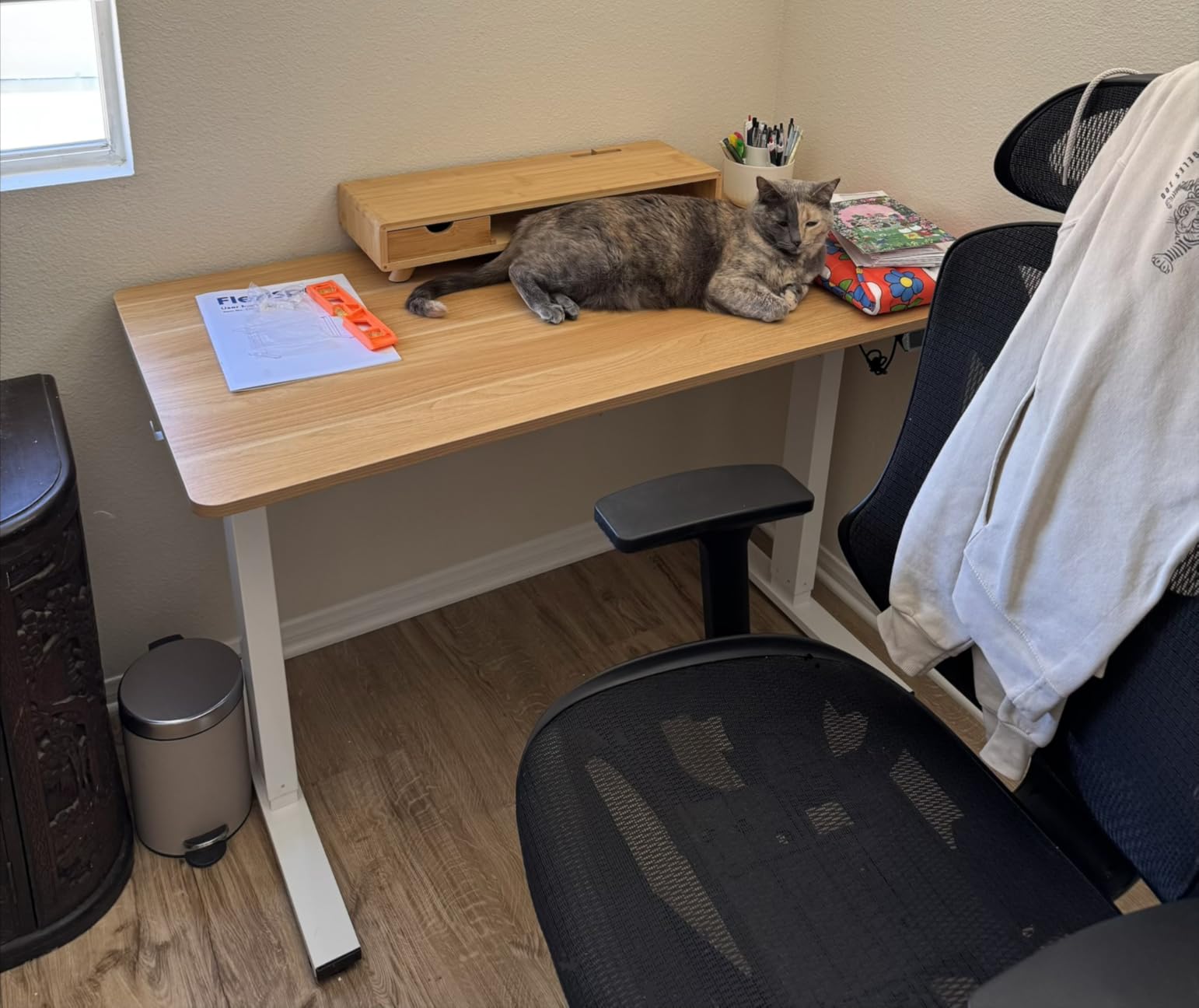 FLEXISPOT EN1 One-Piece Standing Desk with 1-Inch Thick Seamless Desktop, 55
