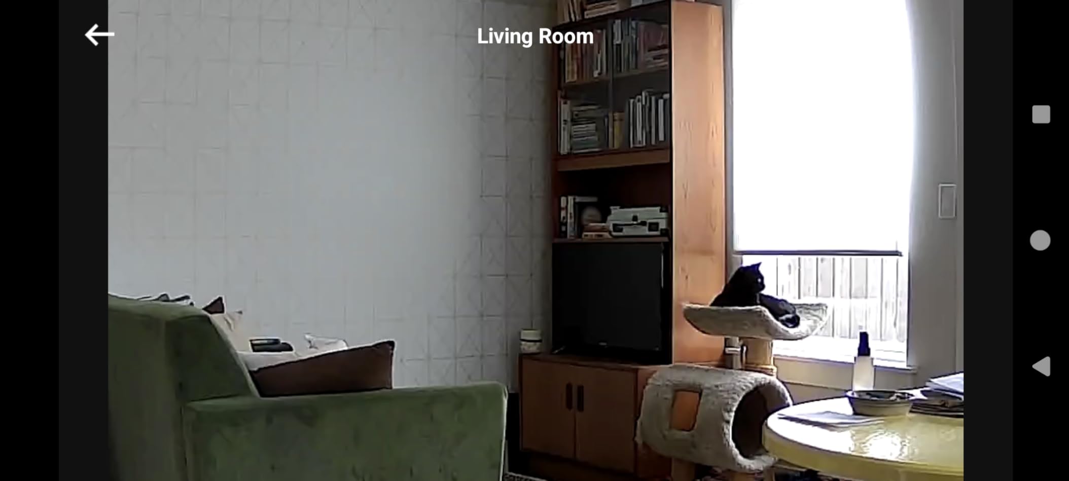 eufy Security Indoor Cam E220, Camera for home Security, Pan & Tilt, Dog/Pet Camera, 2K Wi-Fi Plug-in, Motion Tracking, Motion Only Alerts, Night Vision, HomeBase 3 Compatible, Voice Assistant Support customer photo 2