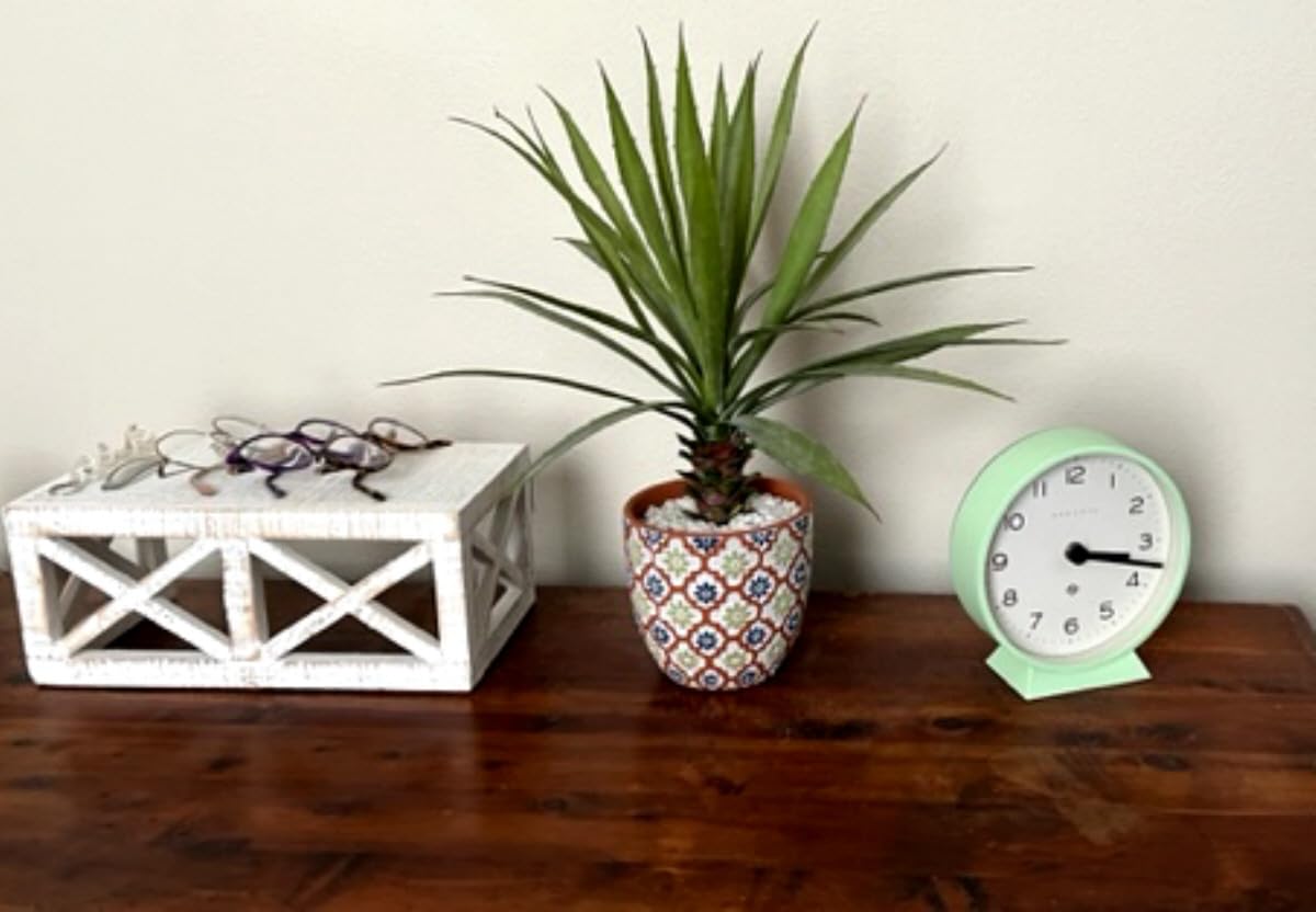 NEWGATE® M Mantel Echo Desk Clock | Modern Round Design | Black | Easy to Read Numbers | Contemporary Style for Desk, Table, Shelf or Bedside customer photo 1
