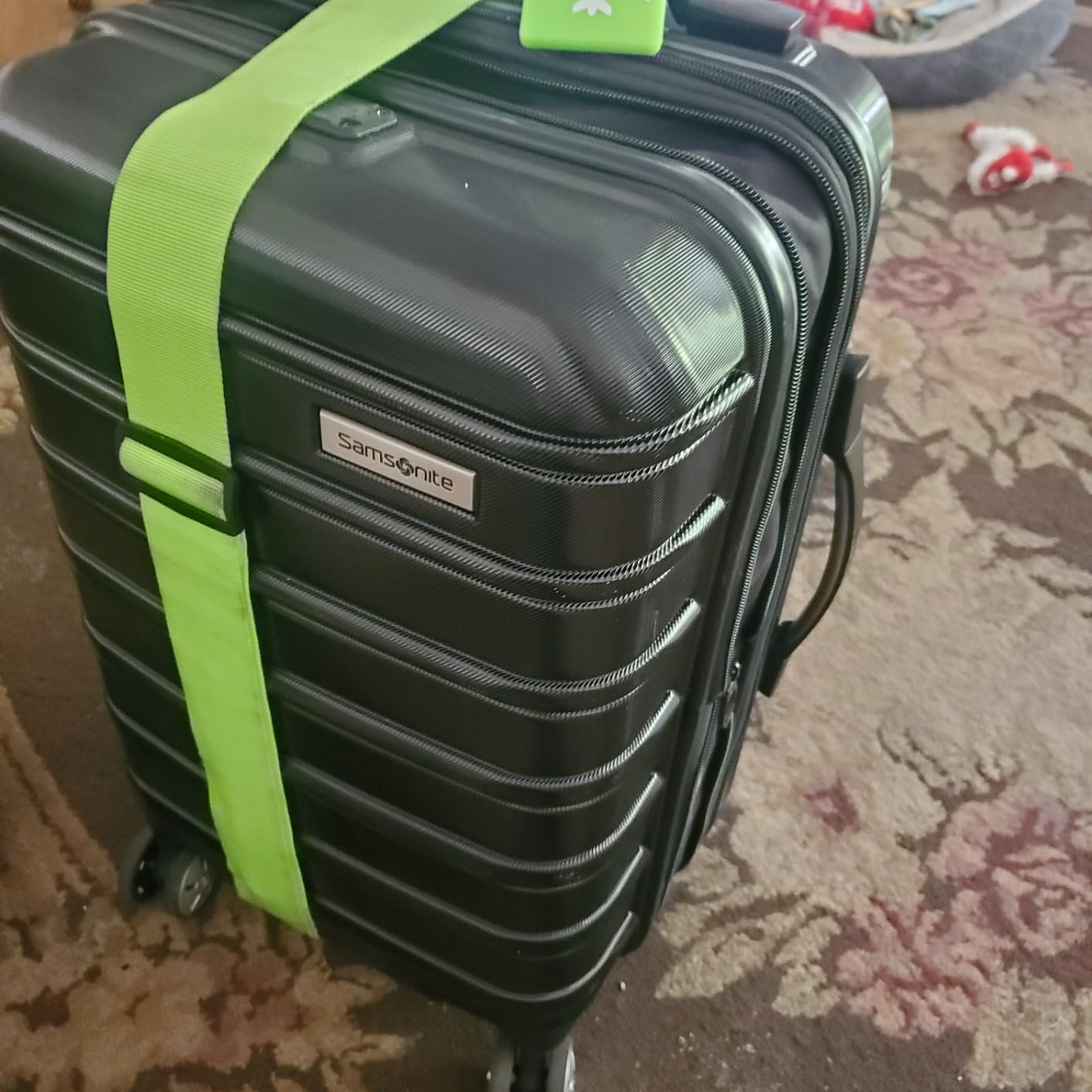 Omni 2 Global Carry-On Spinner Luggage - Compact Size For International Travel - Airline-Approved - Features Expandable Polycarbonate Shell, 360° Wheels, USB Power Hub - Silver customer photo 2