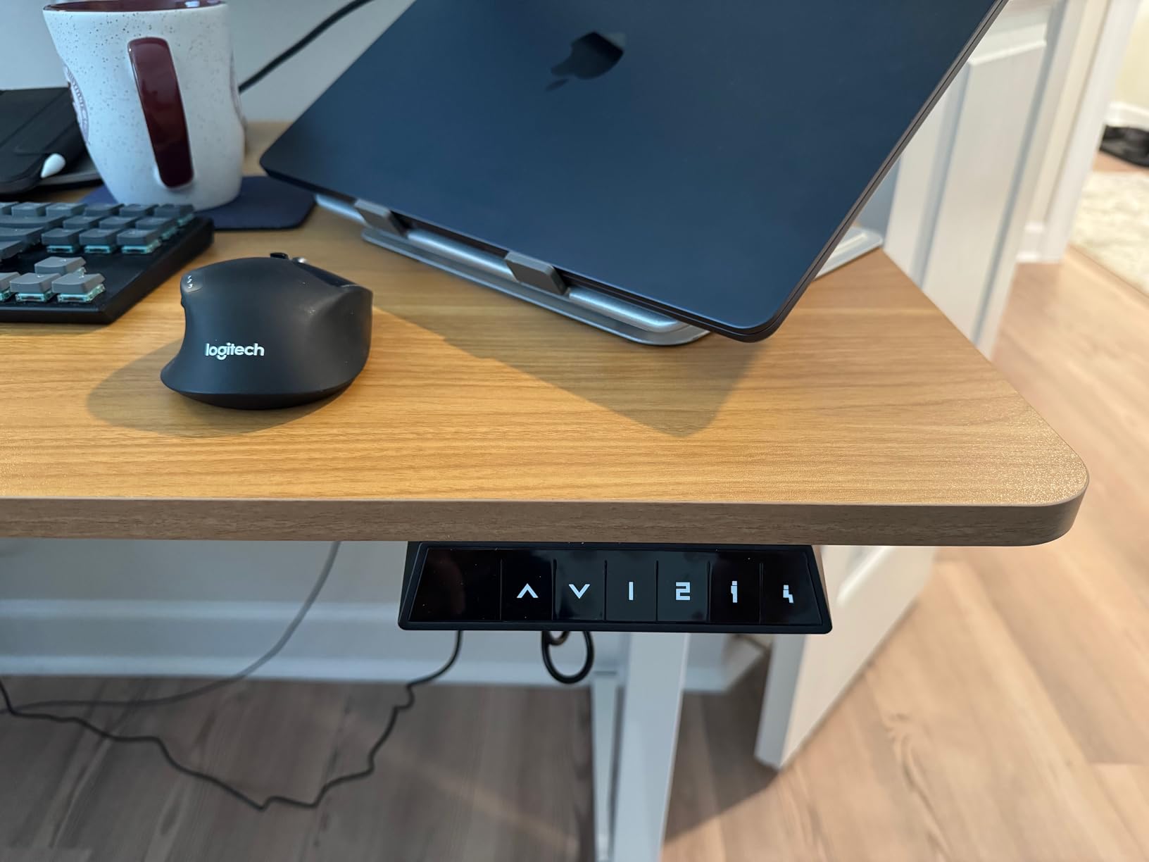 FLEXISPOT EN1 One-Piece Standing Desk, Electric Adjustable with 4 Memory Presets, 176 LBS Capacity, Stable & Quiet, Seamless Desktop for Home Office & Dual Monitors, 55