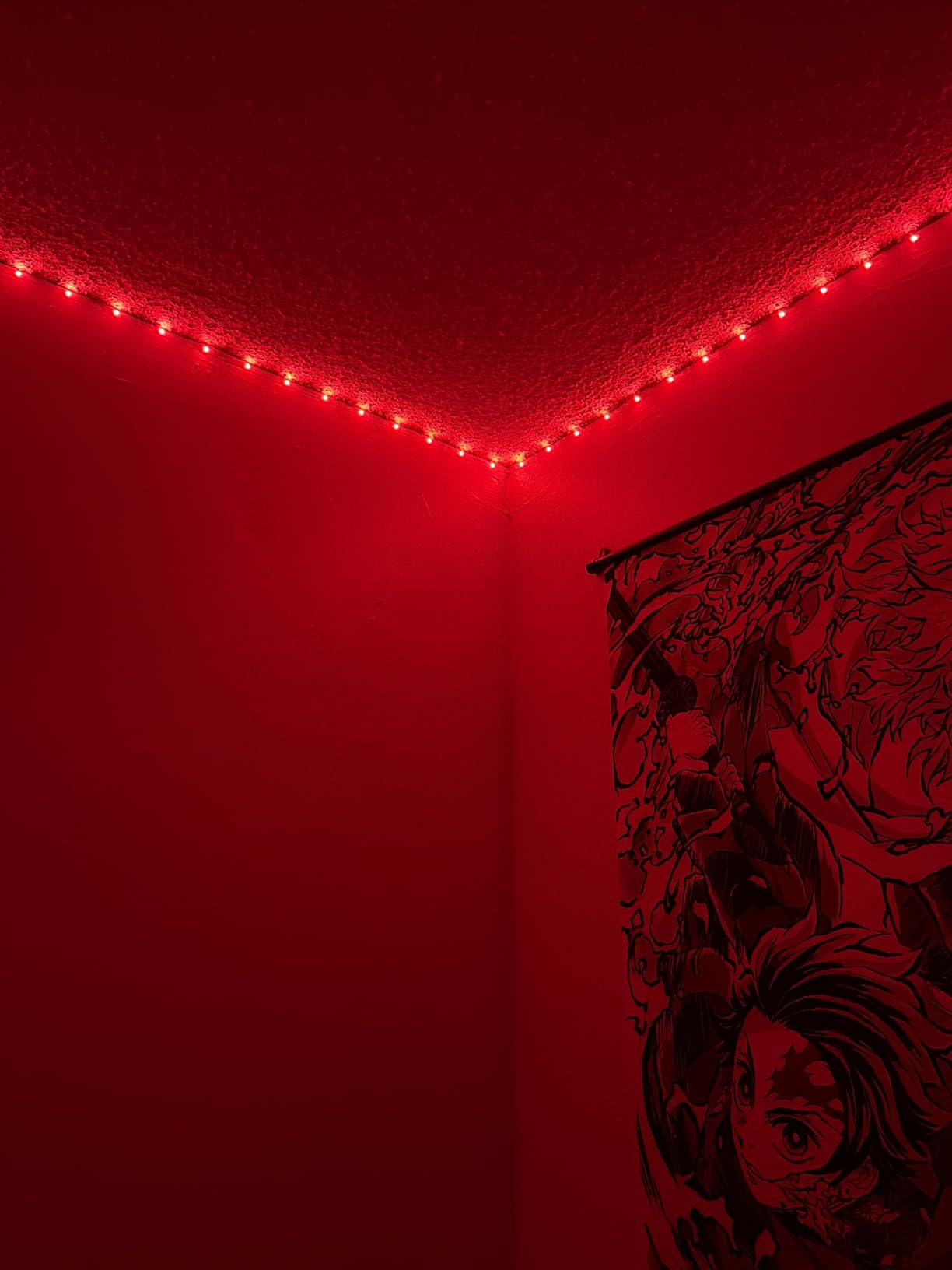 DAYBETTER Smart WiFi Led Lights 100ft, Tuya App Controlled Led Strip Lights, Work with Alexa and Google Assistant, Timer Schedule, Color Changing Led Lights for Bedroom Party Kitchen customer photo 1