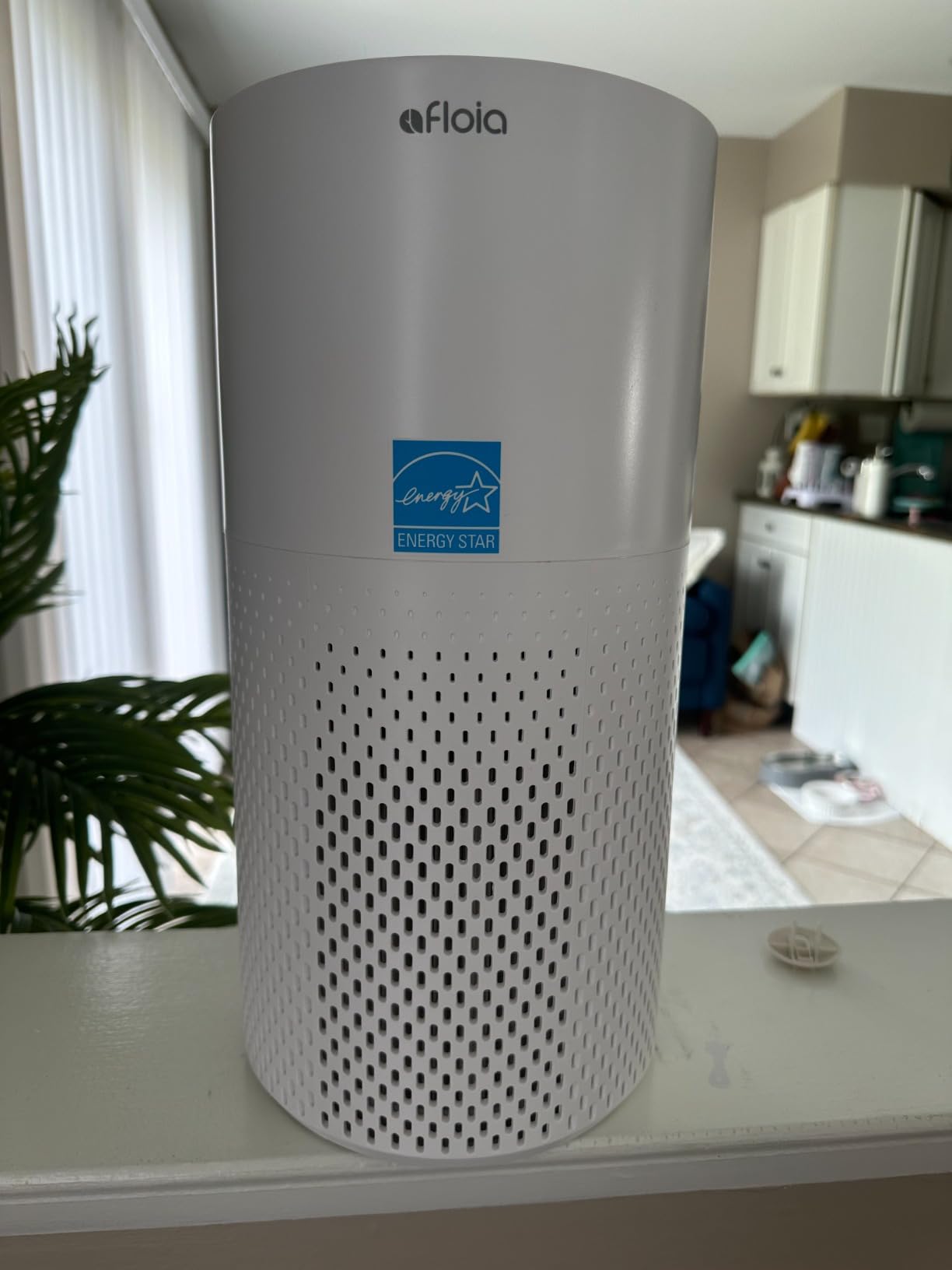 Afloia Air Purifiers for Home Bedroom Large Room Up to 1076 Ft, 3-Stage Filter Cleaner Odor Eliminator, Remove Pets Dust Dander Hair Allergy Mold Pollen Smoke Smell, Quiet 22 dB, 7 Colors Night Light customer photo 1