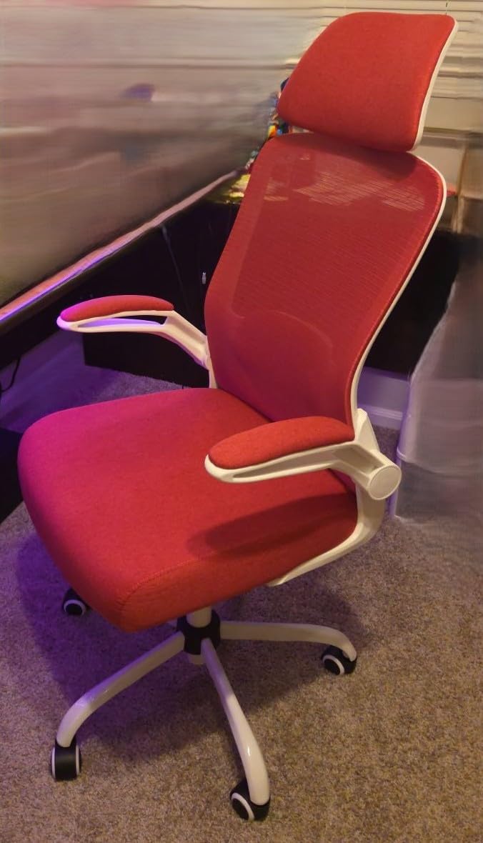 Mimoglad Office Chair, High Back Ergonomic Desk Chair with Adjustable Lumbar Support and Headrest, with flip-up Armrests for Guitar Playing, 5 Years Warranty (Moon Grey) customer photo 1