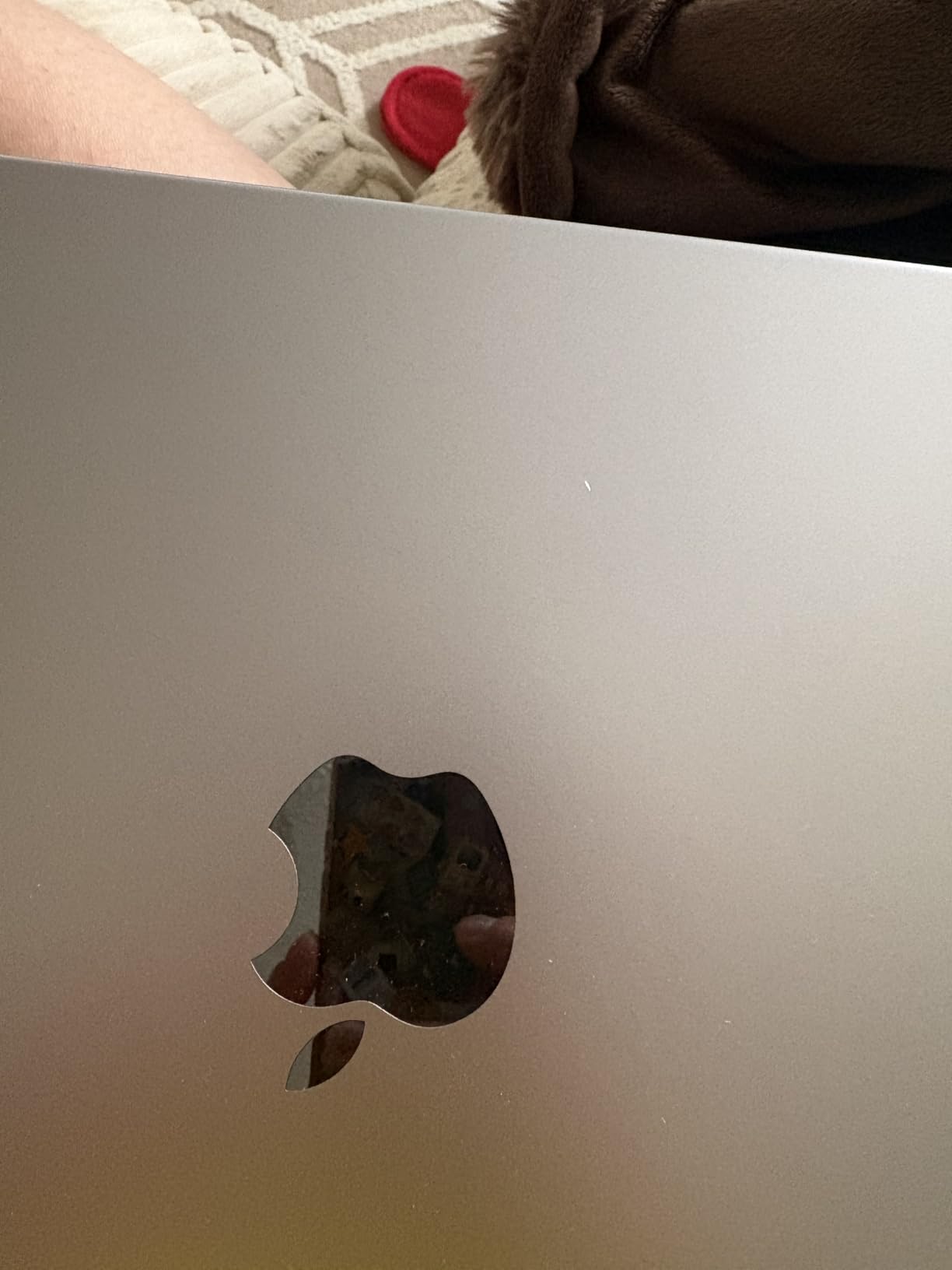 Apple MacBook Pro 2021 with Apple M1 Pro chip (14-inch, 16GB RAM, 512GB SSD) - Space Gray (Renewed) customer photo 2