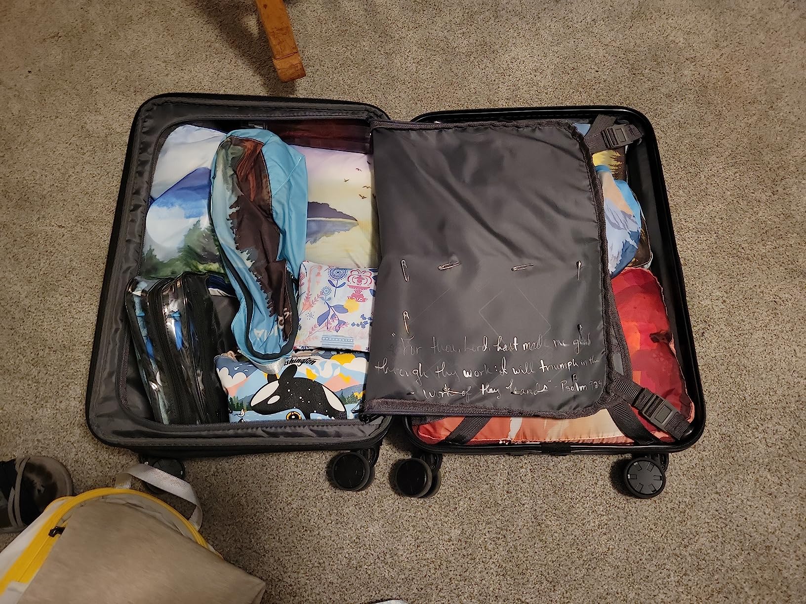 LEVEL8 Grace Carry on Luggage with Front Compartment, 20 Inch Expandable Hardside Suitcases with Wheels, Abs+Pc Harshell Spinner Luggages with Tsa Lock, Travel Bag for Women Men, Champagne customer photo 1