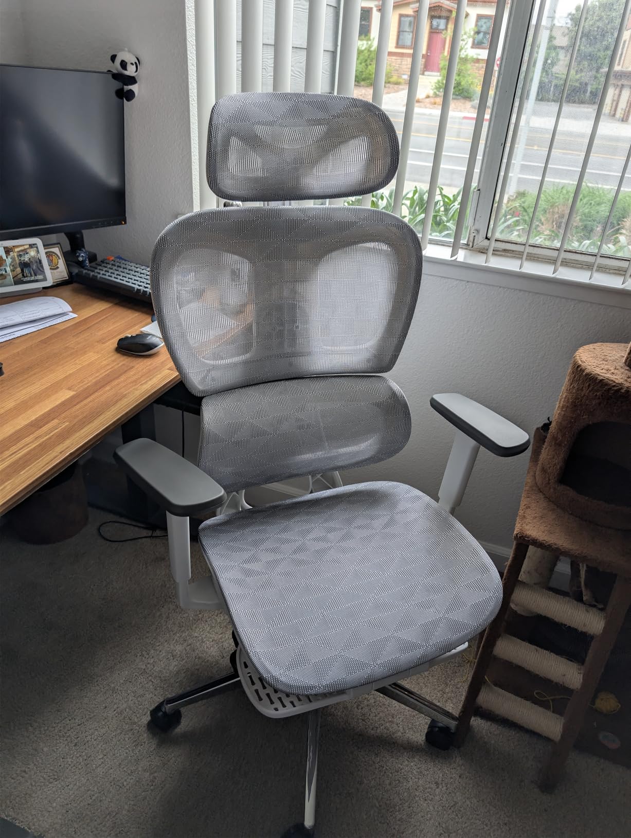 PatioMage Ergonomic Office Chair, Big and Tall Desk Chair with Adjustable Lumbar Support & Seat Depth, High Back Computer Chair, Swivel Mesh Chairs with Wheels for Home Office, Black customer photo 2