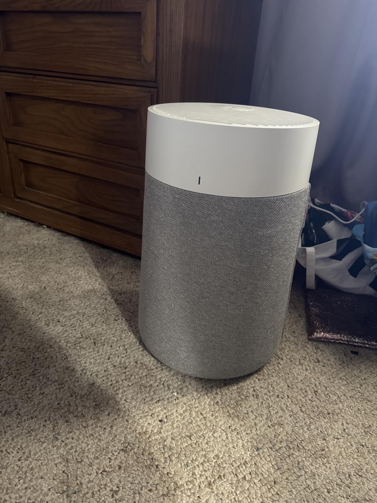 BLUEAIR Blue Pure 311i Max Smart Air Purifier for Medium Rooms up to 1,800 Sq Ft HEPASilent Air Cleaner for Pets Allergies Smoke & Dust WiFi Air Purifier with Auto Mode Quiet Air Purifier for Bedroom customer photo 2