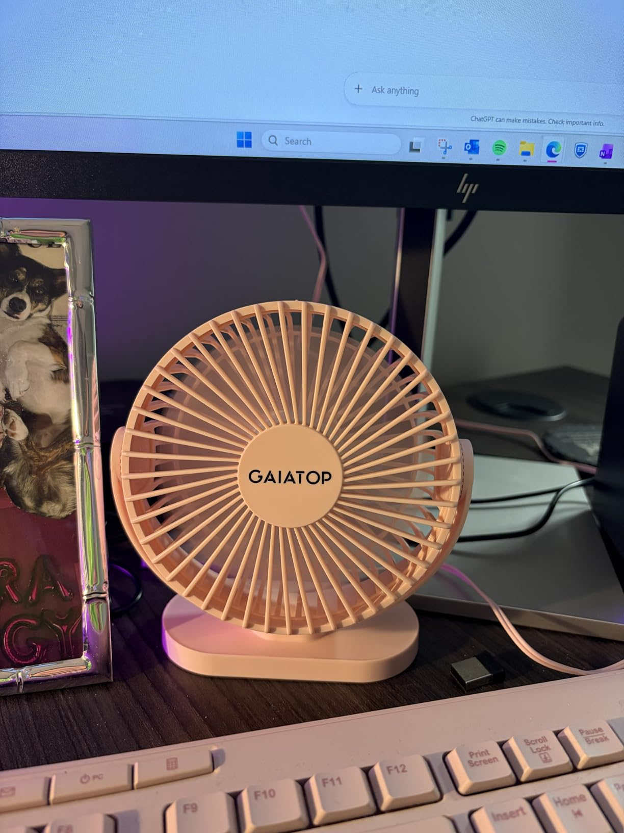 Gaiatop USB Desk Fan, 5.5 Inch Small Quiet Powerful 3 Speeds 90° Rotate, Personal Mini Portable Desktop Table Fans, Cooling for Home Office Car Travel Indoor Outdoor Pink customer photo 1