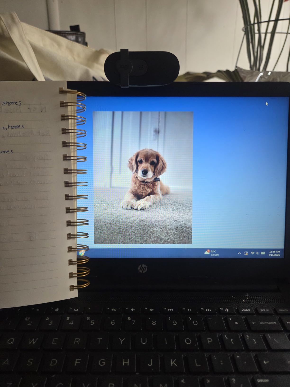 Logitech Brio 101 Full HD 1080p Webcam for Meetings, Streaming, Desktop, Laptop, PC - Built-in Mic, Shutter, Works with Zoom, Microsoft Teams, Nintendo Switch 2's new GameChat Mode, USB-A,-Black customer photo 2