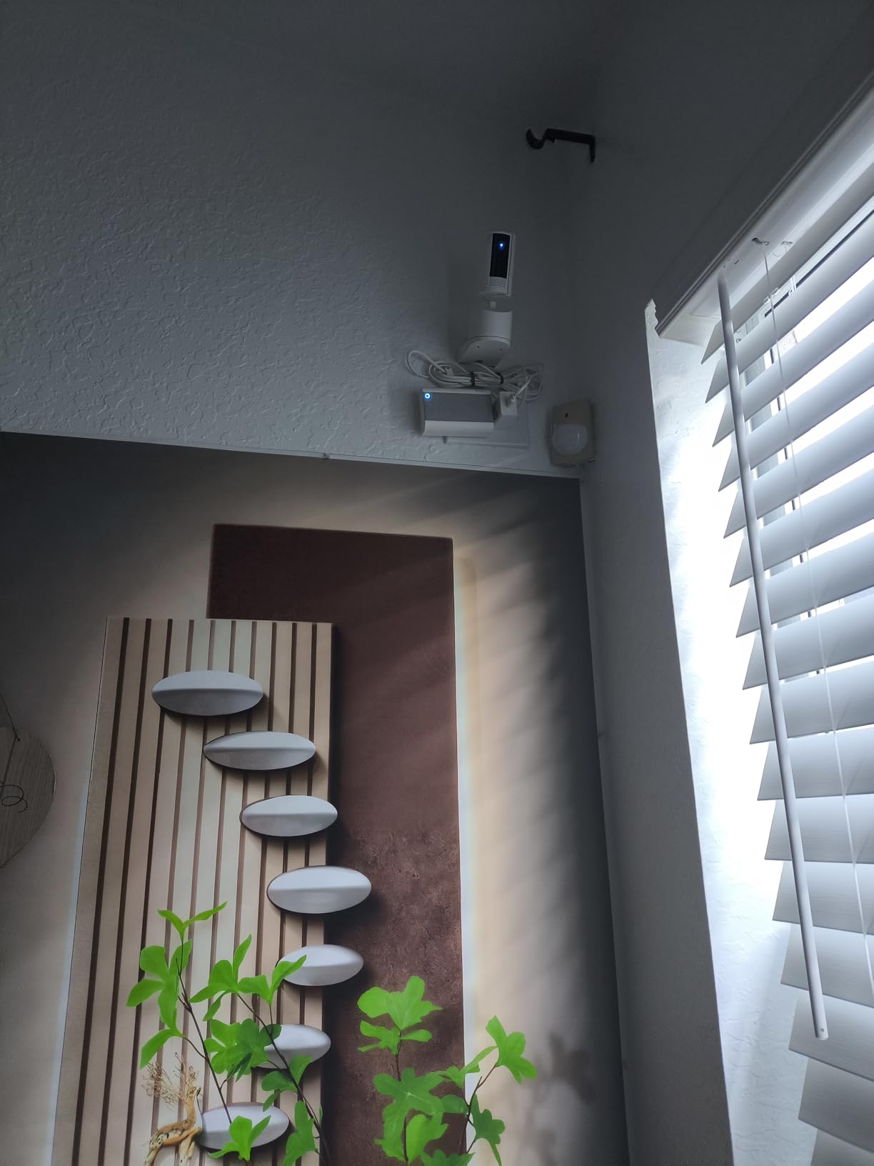 Ring Pan-Tilt Indoor Cam (newest model), See all around your home or business with 360 pan coverage, HD video, plus Two-Way Talk, White customer photo 2