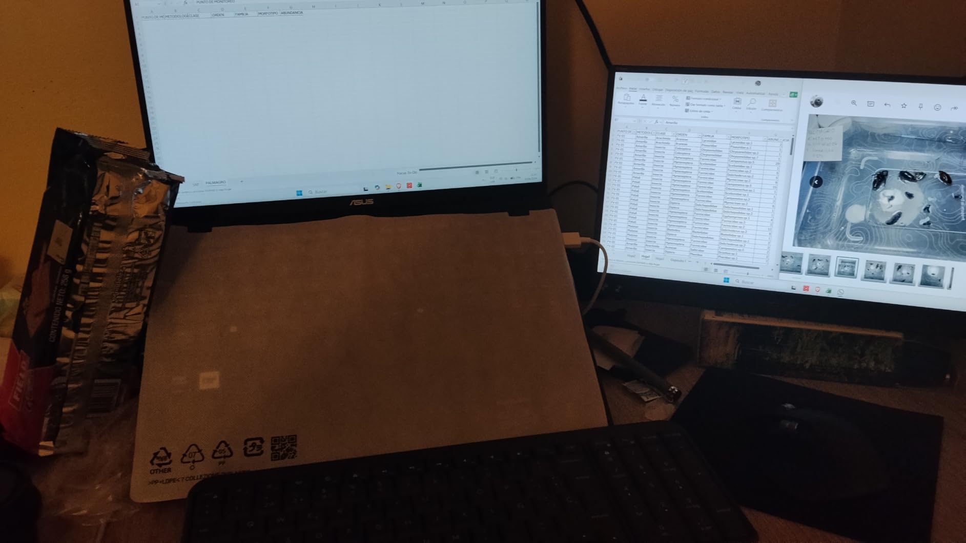 ASUS ZenScreen 16