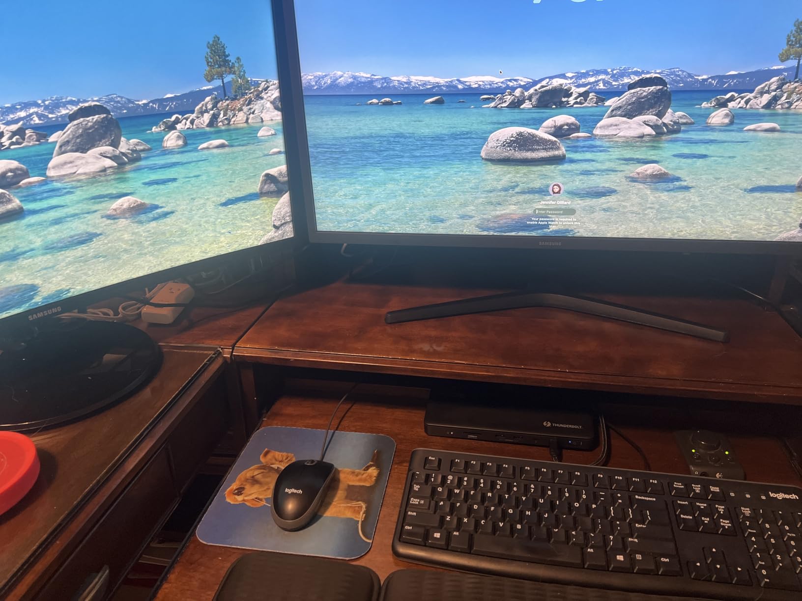 Plugable Thunderbolt 4 Dock with 100W Charging, Thunderbolt Certified, Laptop Docking Station Dual Monitor Single 8K or Dual 4K HDMI for Windows and Mac, 4X USB, Gigabit Ethernet (TBT4-UD5) customer photo 1