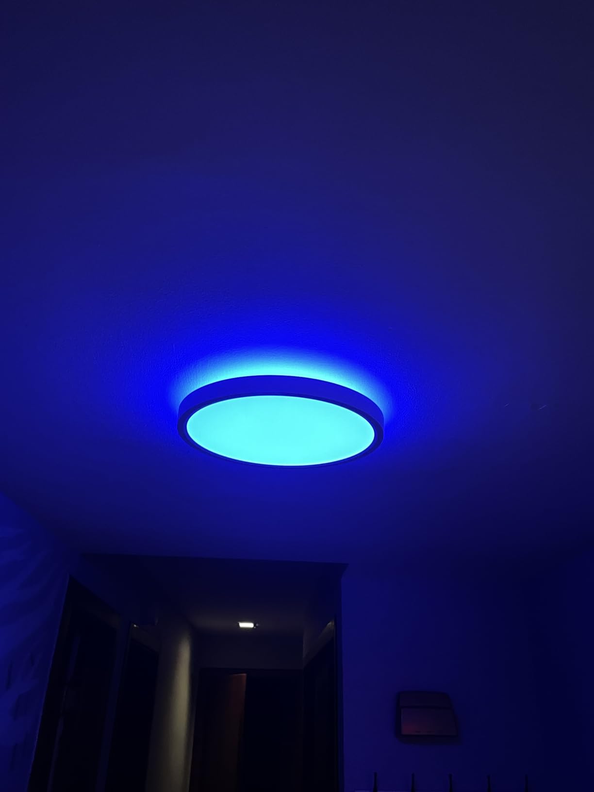 Govee Smart Ceiling Light, RGBIC LED Ceiling Light Fixture, 2400LM Flush Mount Light Fixture, DIY Colors, Works with Alexa, 2200K-6500K Lights for Bedroom, Living Room,12 Inch, 1 Pack (White) customer photo 2