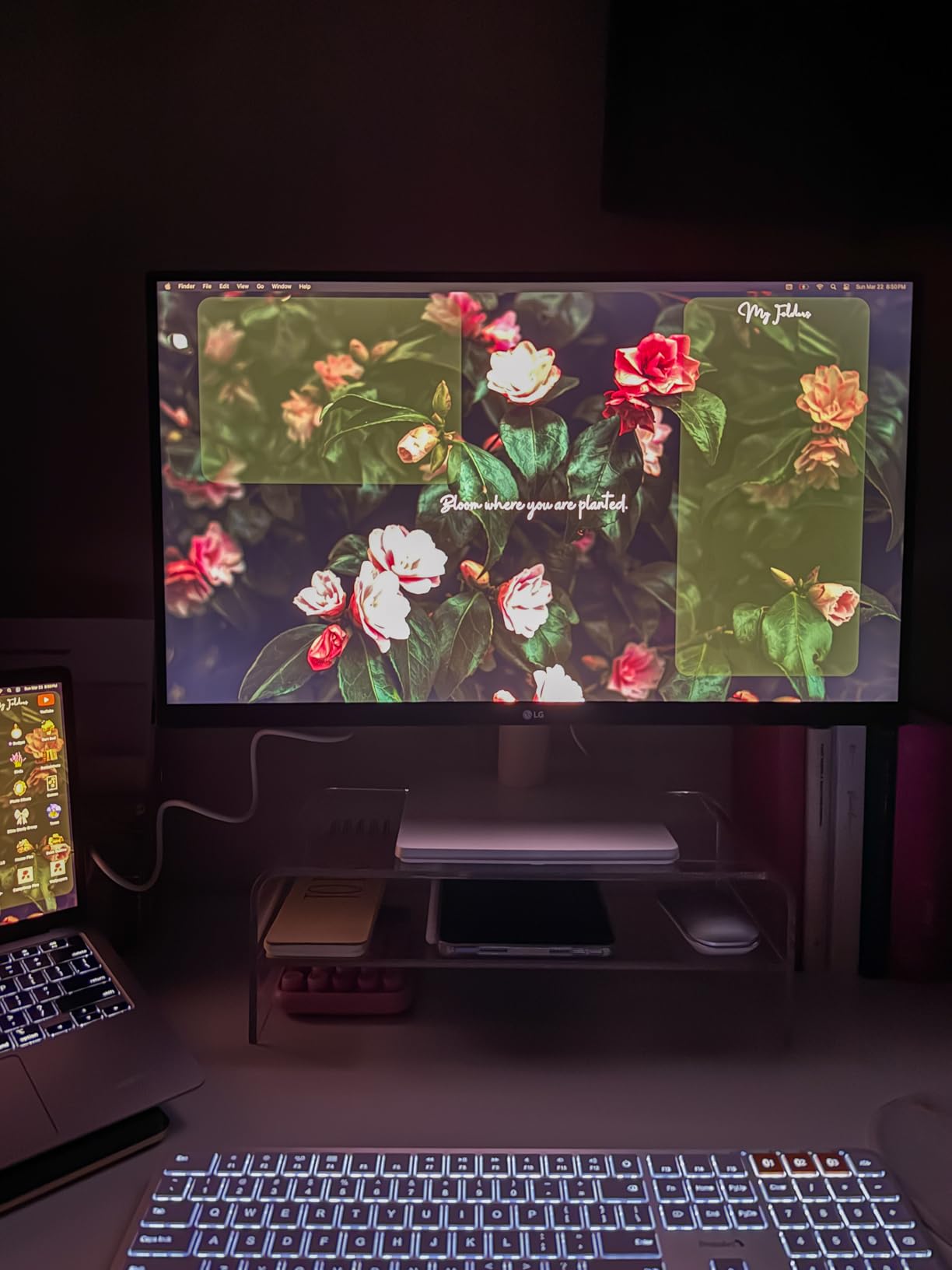 LG 27US500-W Ultrafine Monitor 27-Inch 4K UHD (3840x2160) HDR10 IPS Borderless Design Reader Mode Flicker Safe Switch App HDMI DisplayPort - White customer photo 2