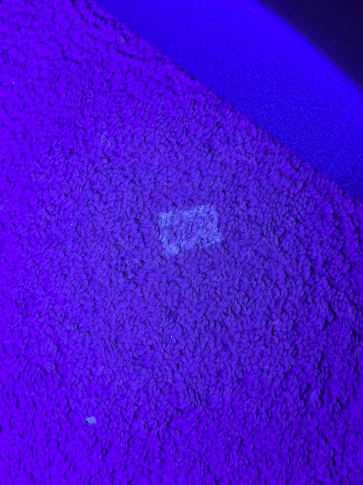 Acezoe Walking Pad Treadmill with Incline, 2 in 1 Foldable Treadmills for Home Small Office, 300lbs Portable Compact Under Desk Treadmill with App, Remote Control and LED Display customer photo 2