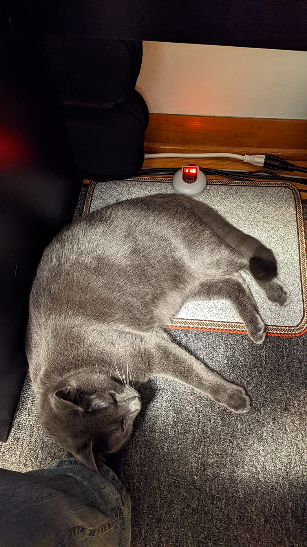 Electric Heated Floor Mats Under Desk, Heated Foot Warmer - 110v Toes Warming Heater for Office and Home (Black) customer photo 2