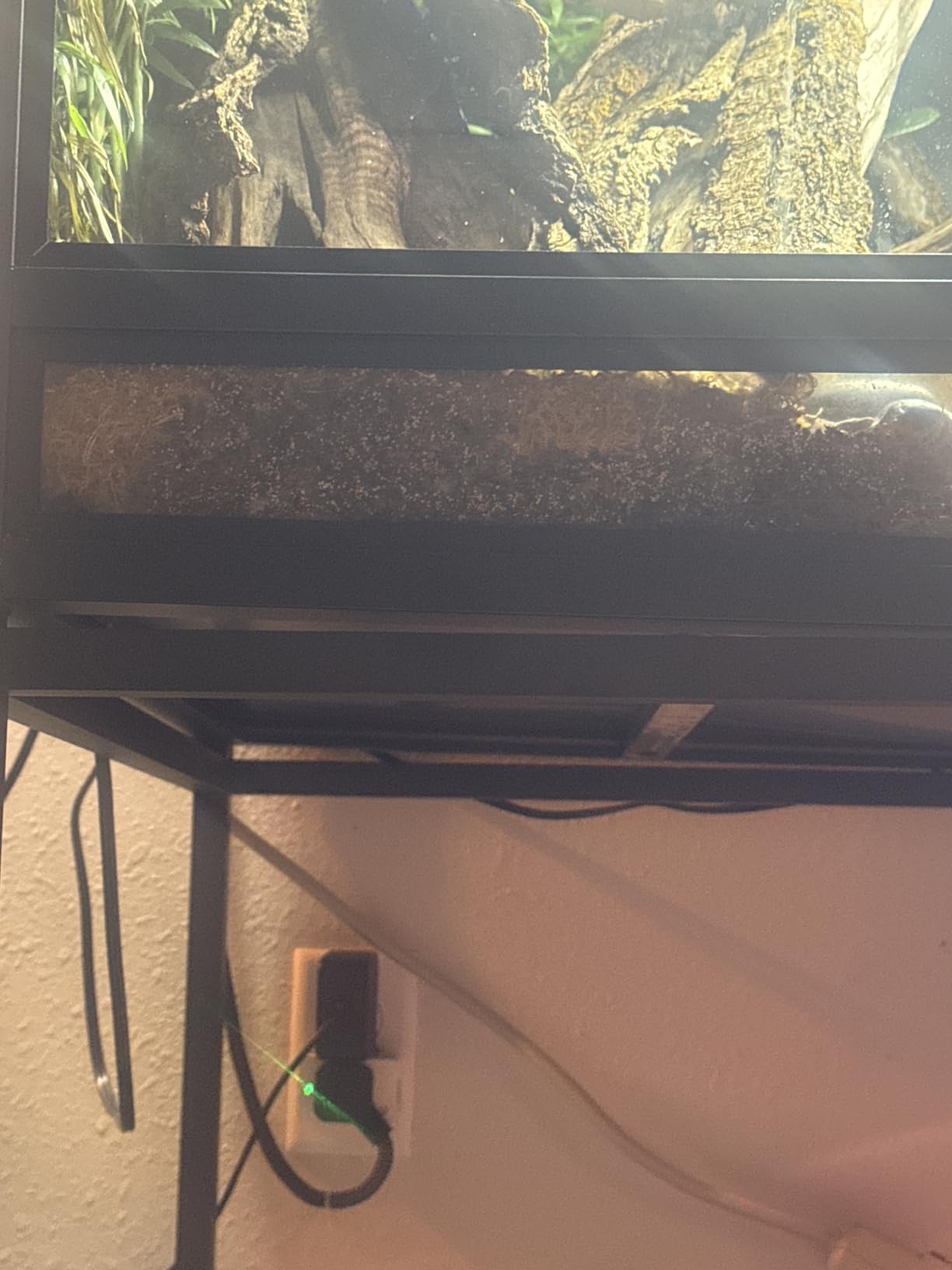 GE Cync Smart Indoor Plug, Smart Outlet Control, WiFi Outlet Plug, Matter Compatible, Works with Alexa and Google Home customer photo 1