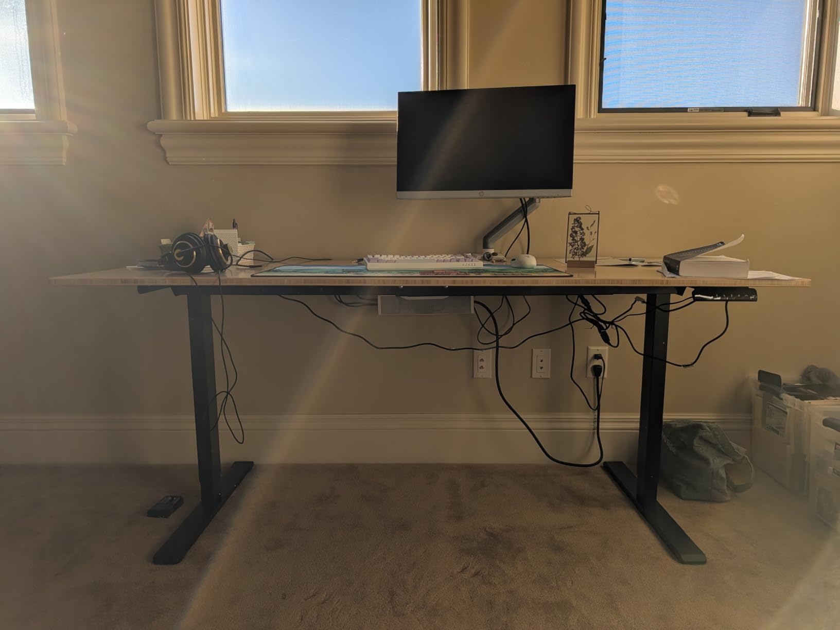 FLEXISPOT E3 Dual Motor Electric Standing Desk 55 x 28 Sit Stand Up Desk, Holds 220 lbs, Adjustable Height w/Memory Presets, One-Piece Brown Wood Grain Desktop & Black Frame, Ships in 2 Boxes customer photo 2