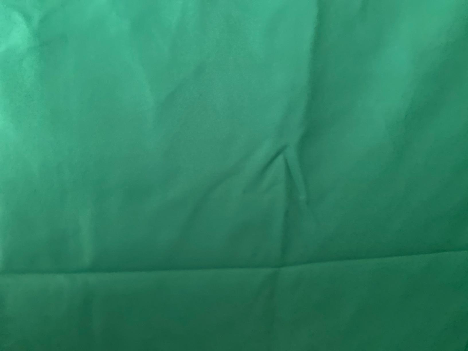 UTEBIT Green Screen Backdrop, 3.3X5 ft Photography Chroma Key Greenscreen Background Sheet for Background Removal, Thick Polyester Fabric Cloth Sheet for Photoshoot Video, Live Streaming (Backdrop Only) customer photo 1