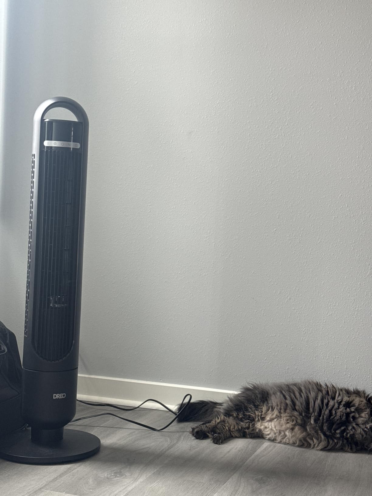 DREO Tower Fan for Bedroom, 90° Oscillating Standing Fans for Room with 4 Speeds, 3 Modes, 28dB Quiet for Sleep, 26ft/s Velocity, 8H Timer, Remote, Living Room, Office, Home, Black customer photo 1