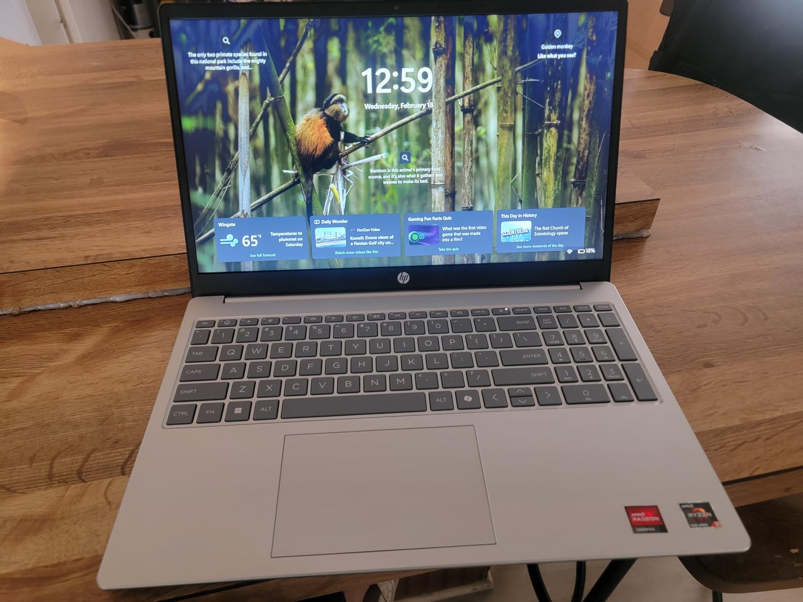 HP 15.6 inch Laptop, HD Touchscreen Display, AMD Ryzen 3 7320U, 8 GB RAM, 128 GB SSD, AMD Radeon Graphics, Windows 11 Home in S Mode, Natural Silver, 15-fc0099nr customer photo 2