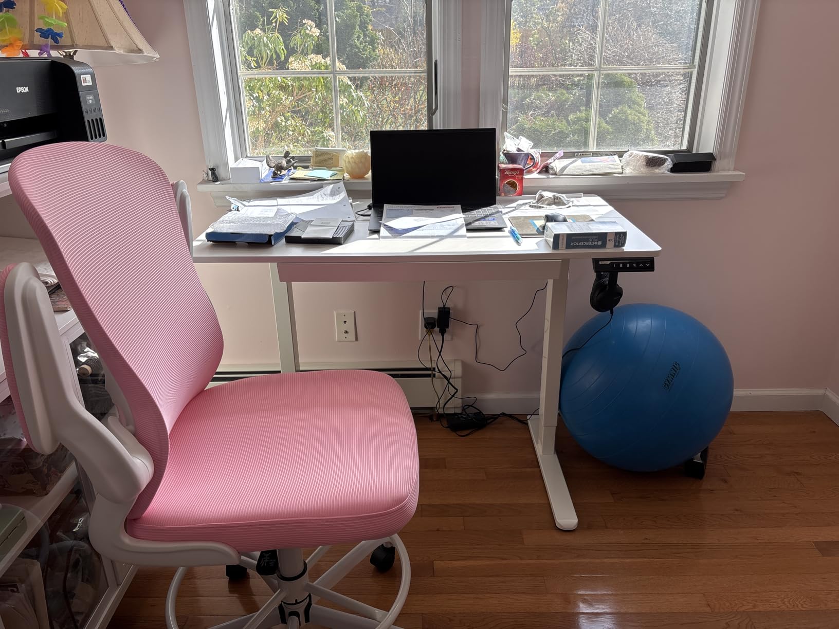 ErGear Electric Standing Desk with Drawers, 48