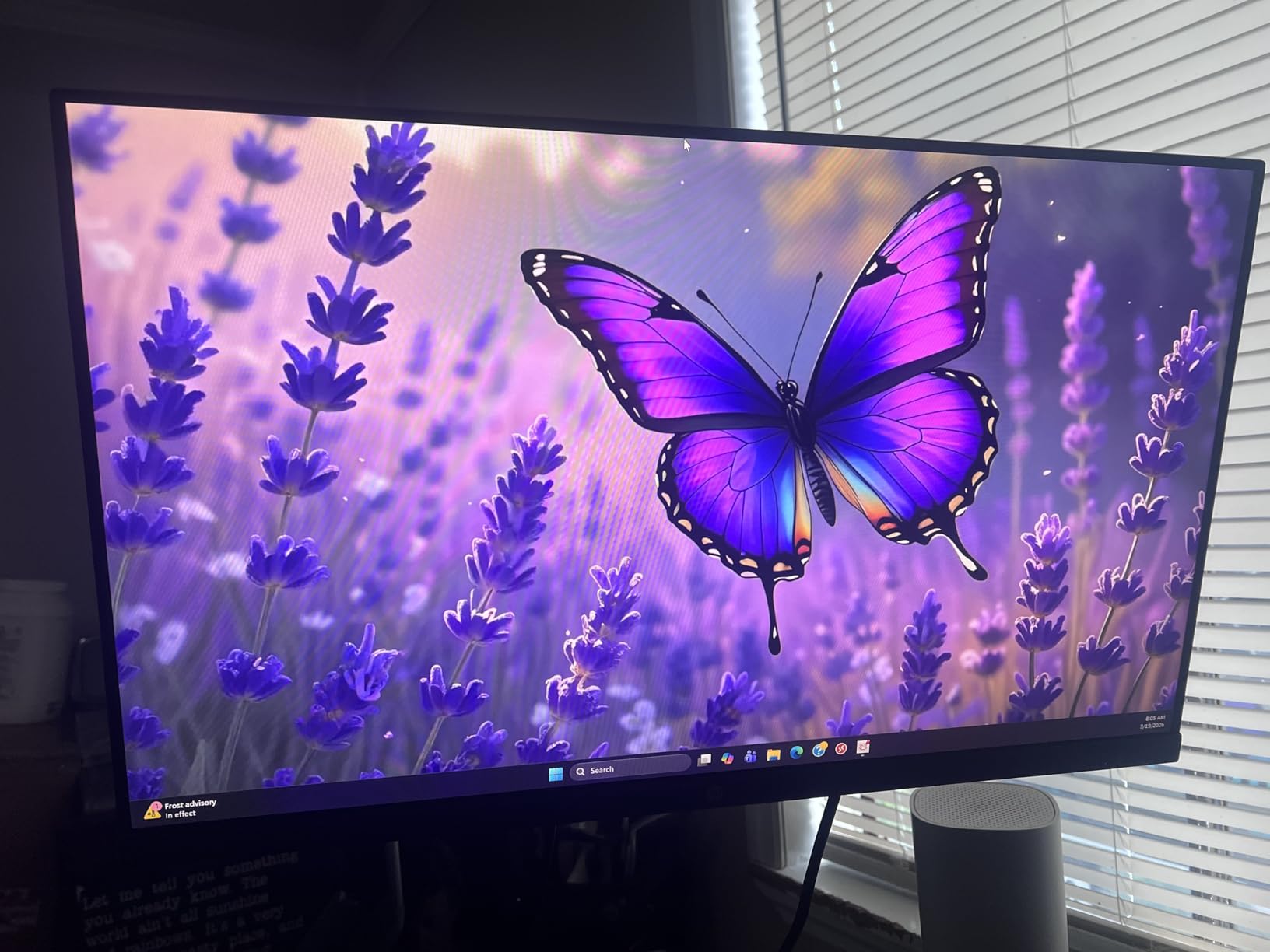 HP Series 3 27 inch FHD Monitor, Full HD Display (1920 x 1080), IPS Panel, 1300:1 Contrast Ratio, 250 Nits, Eye Ease with Eyesafe Certification, Black, 327se (2025) customer photo 2