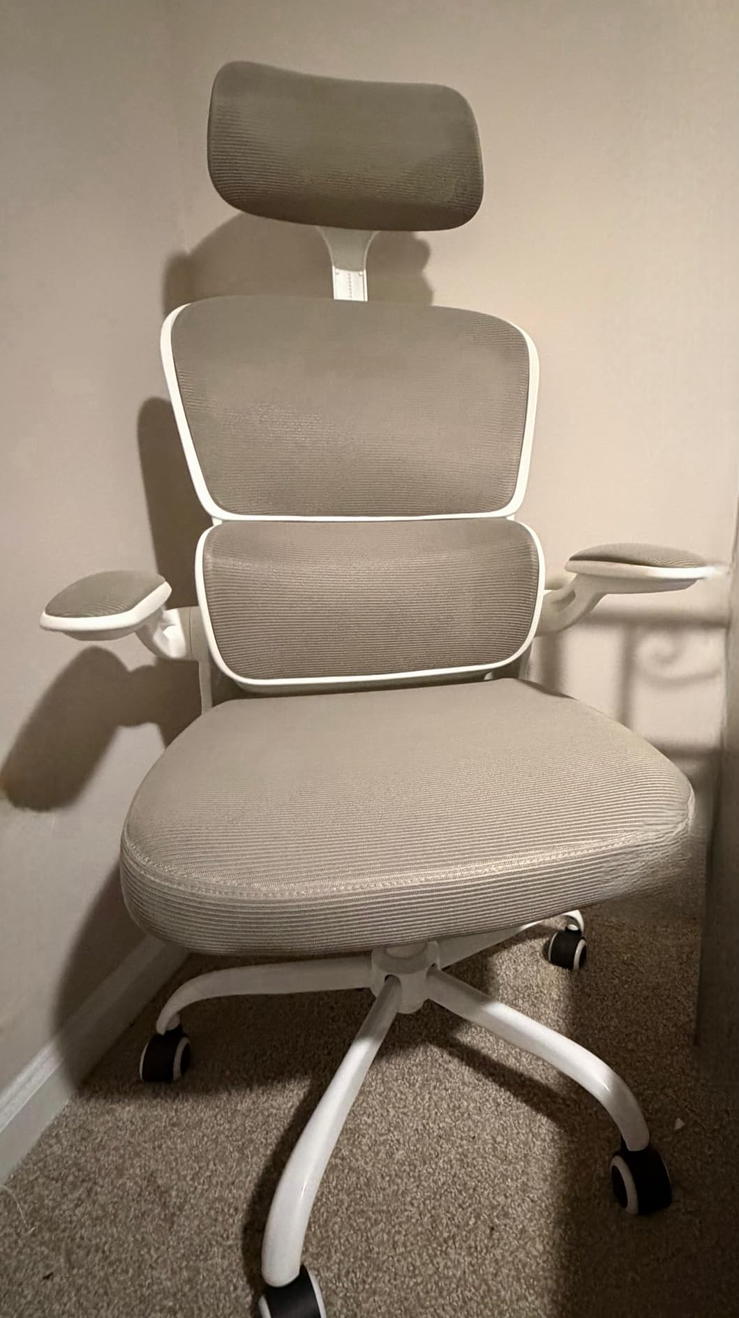 BESTFAIR High Back Ergonomic Office Chair, Breathable Mesh Desk Chair with Lumbar Support, Adjustable Headrest, Flip-up Armrests, Computer Gaming Chair, (Black) customer photo 2