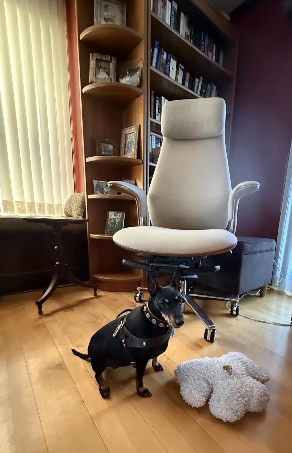 TOMU Executive Office Chair with Foot Rest, Top Grain Genuine Leather Office Chair, Ergonomic High Back Design. Real Leather, Wheels, Aluminum Base. Padded Armrest, Luxury and Comfy (Beige) customer photo 2