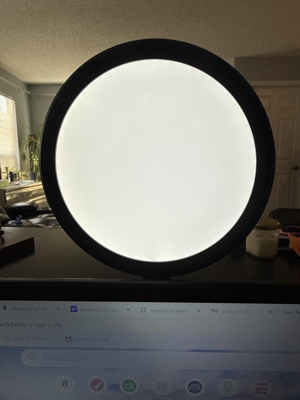 Computer Zoom Lighting for Video Conference, 5