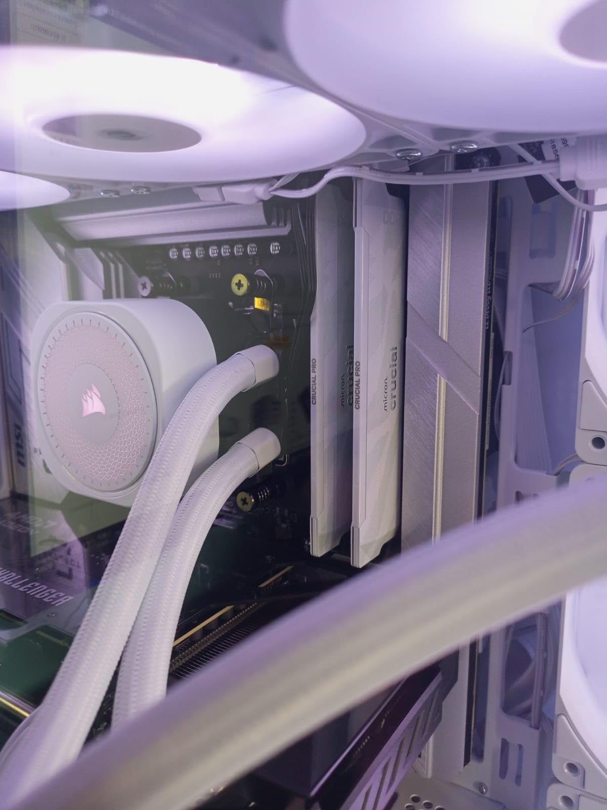 Crucial Pro DDR5 RAM 32GB Kit (2x16GB), 6400MHz CL32, Overclocking Desktop Gaming Memory, Intel XMP 3.0 & AMD Expo Compatible, White - CP2K16G64C32U5W customer photo 2