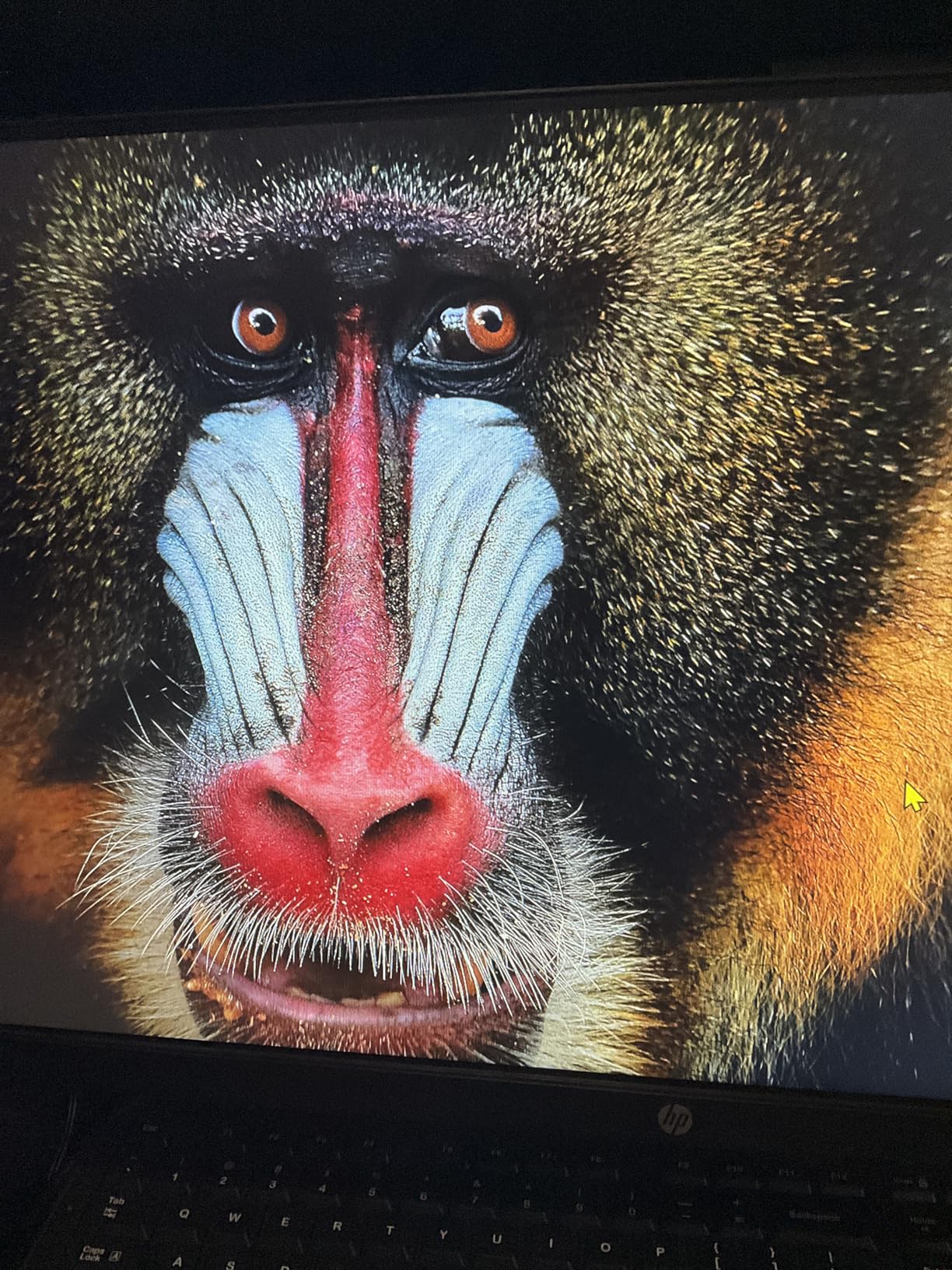 GMKtec G3 Pro Mini PC, Intel Core i3-10110U 16GB DDR4 (Dual Channel) 512GB PCIe M.2 SSD, Desktop Computer 4K Dual HDMI/USB3.2/WiFi 6/BT5.2/2.5GbE for Office, Business customer photo 2