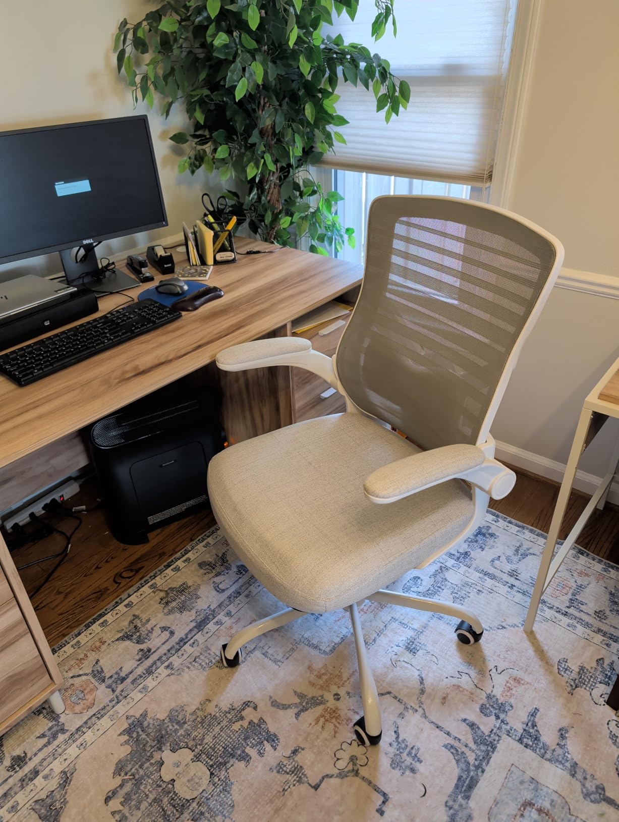 Office Chair for Long Hours & Back Pain Relief - 4