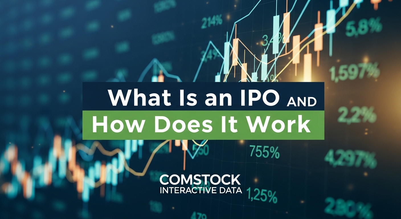 What Is an IPO and How Does It Work