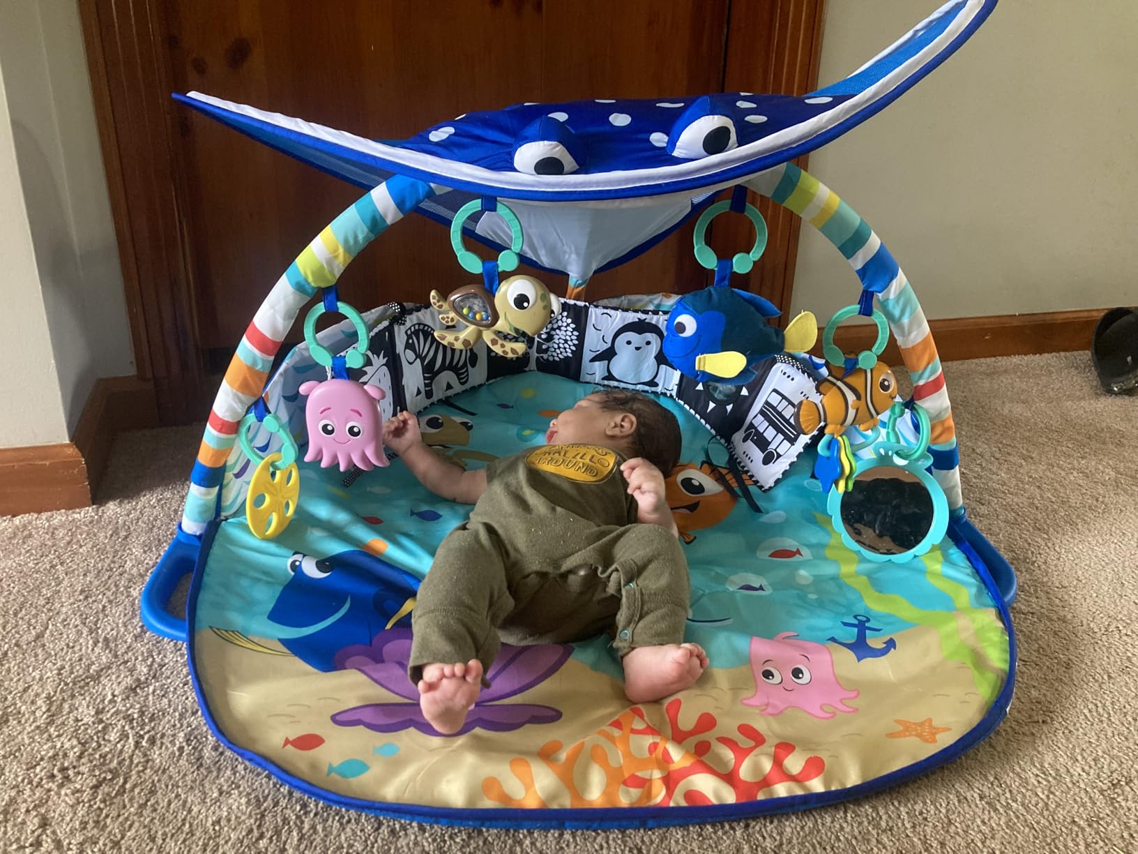 Bright Starts Disney Baby Finding Nemo Mr. Ray Ocean Lights & Music Gym customer photo 2