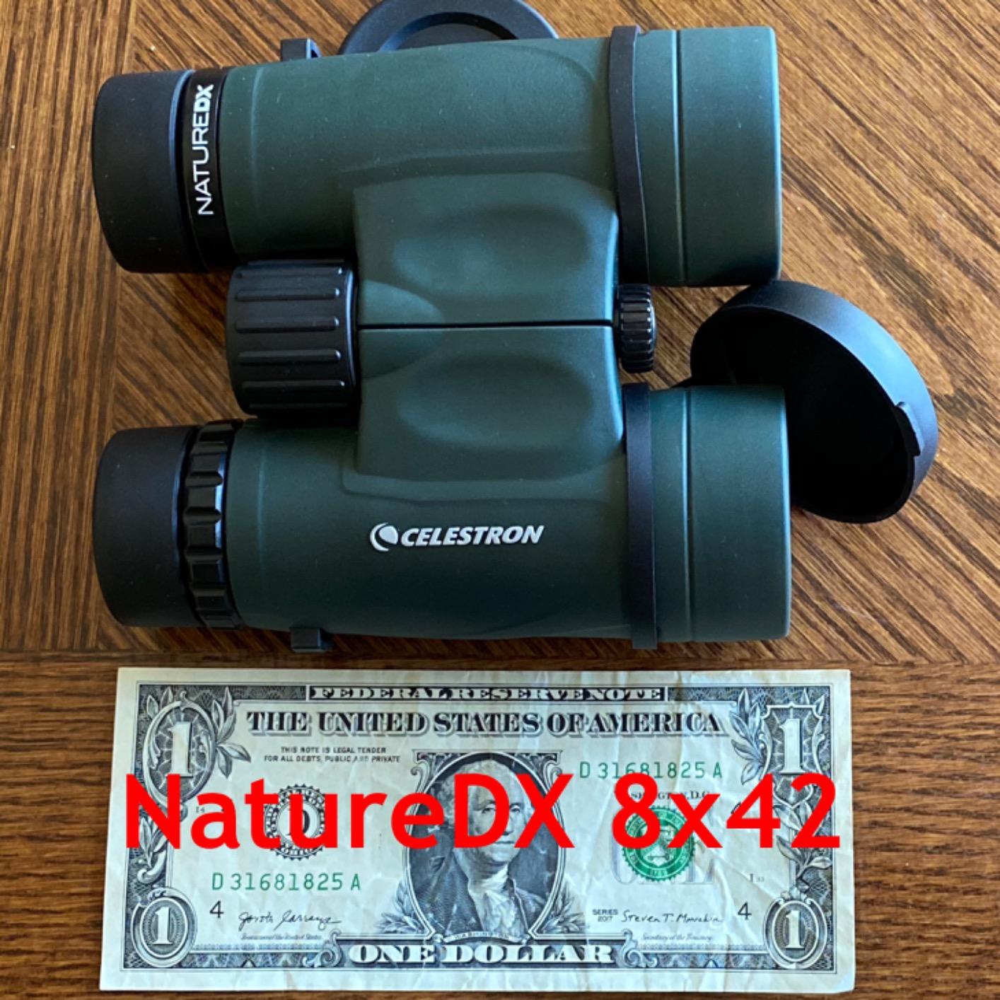 Celestron - Nature DX 8x42 Binoculars - Ideal for Birding and Outdoors - 42mm Objective Lenses - Wide 7.4° Field of View - BaK-4 Prisms - Fully Multi-Coated - Waterproof and Fogproof customer photo 1