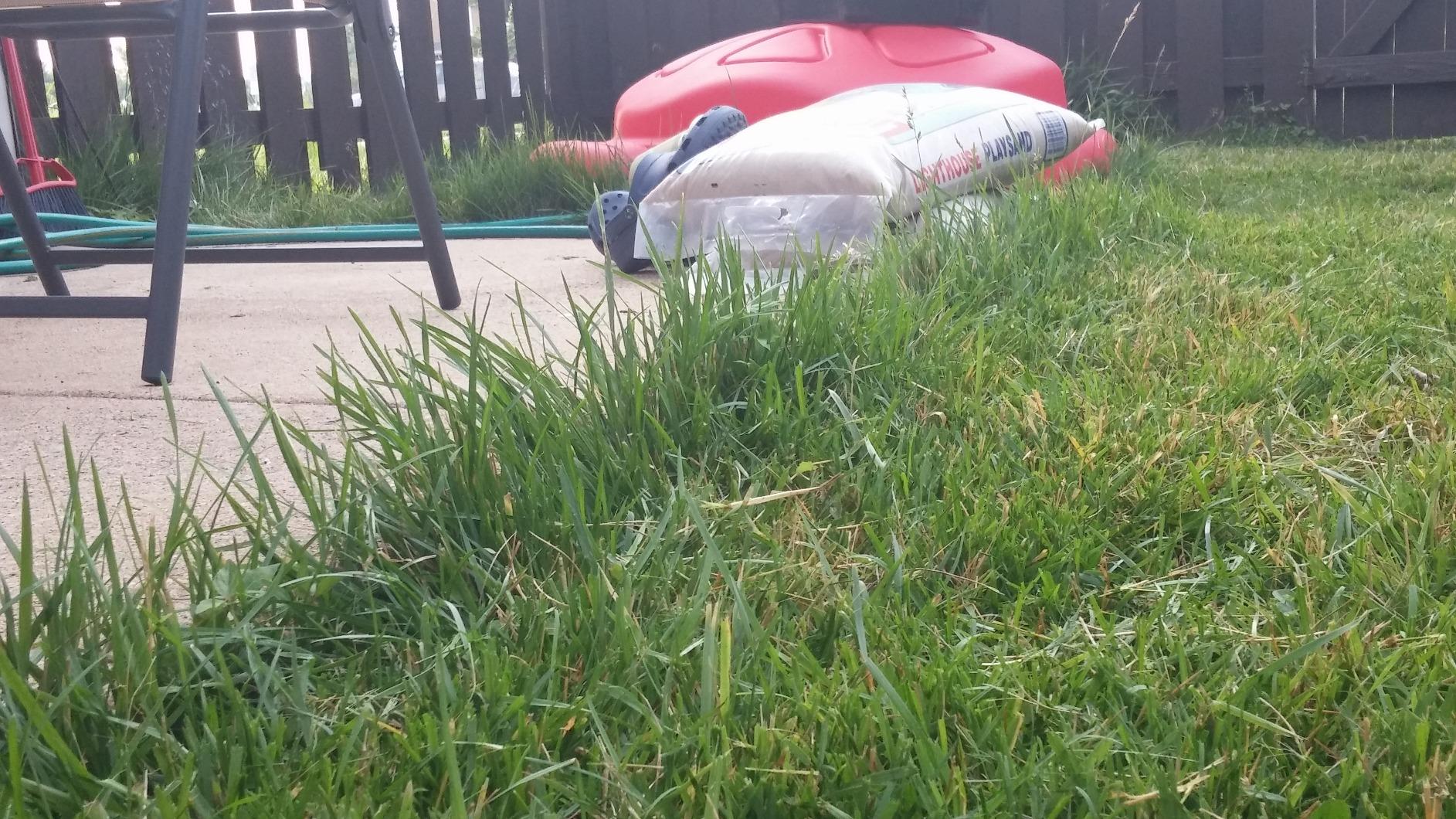 BLACK+DECKER Weed Eater, Lawn Edger and Cordless Lawn Mower 3 in 1 Combo, Includes (2) Batteries, Charger, 12 Inch Battery Powered String Trimmer and Lawnmower, Adjustable Length and Height (MTC220) customer photo 1
