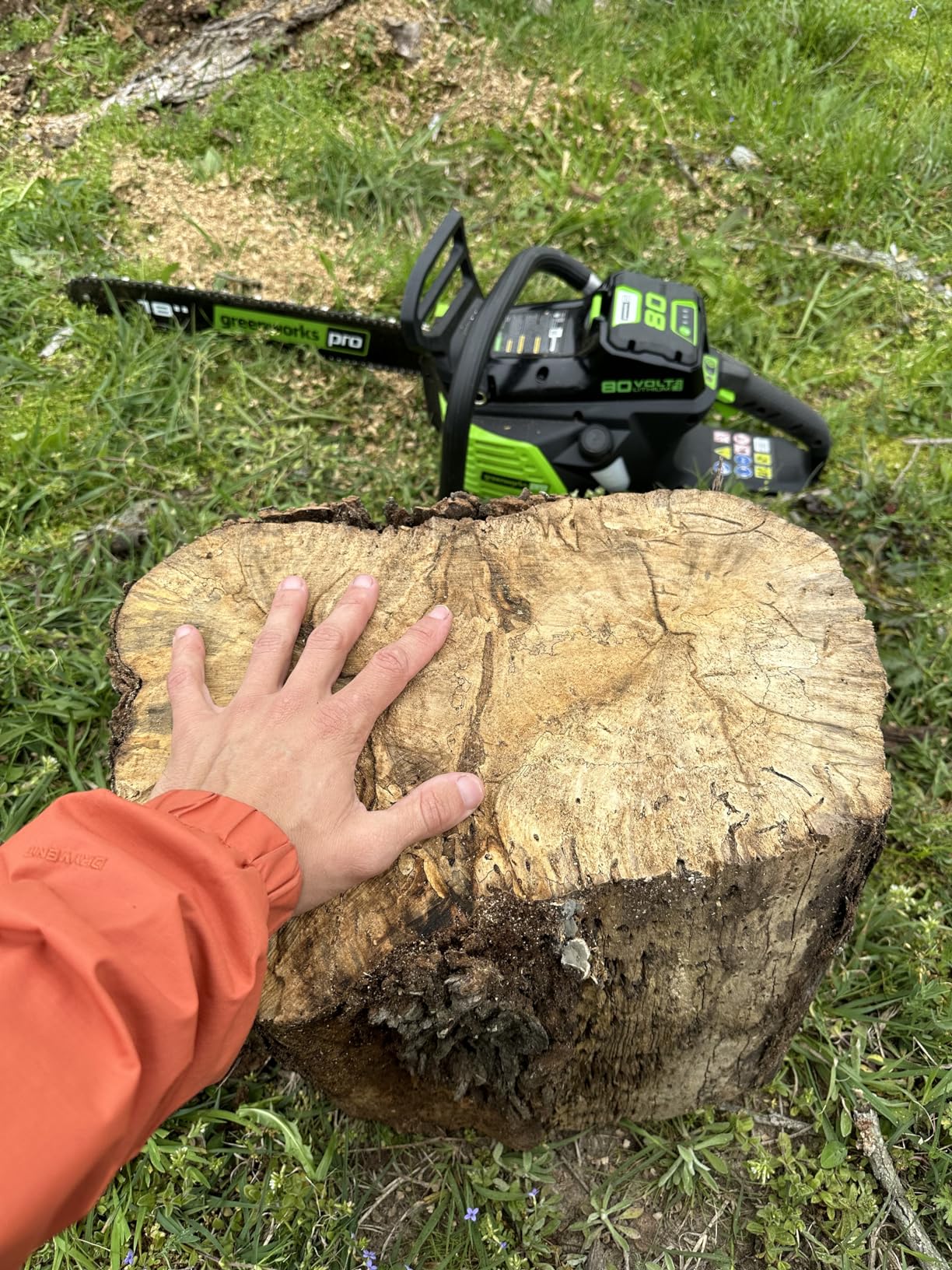 Greenworks 80V 18