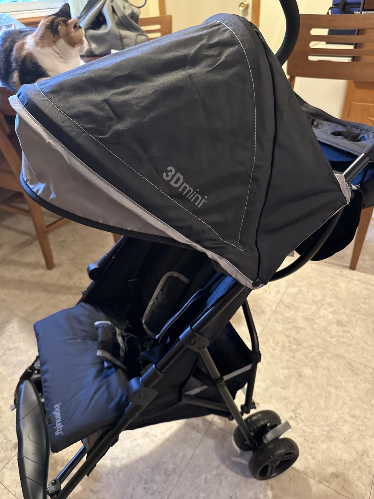 Ingenuity 3D Mini Convenience Stroller - Lightweight Stroller with Compact Fold, Multi-Position Recline, Canopy with Pop Out Sun Visor - Umbrella Stroller for Travel & More, Blue/Black customer photo 2