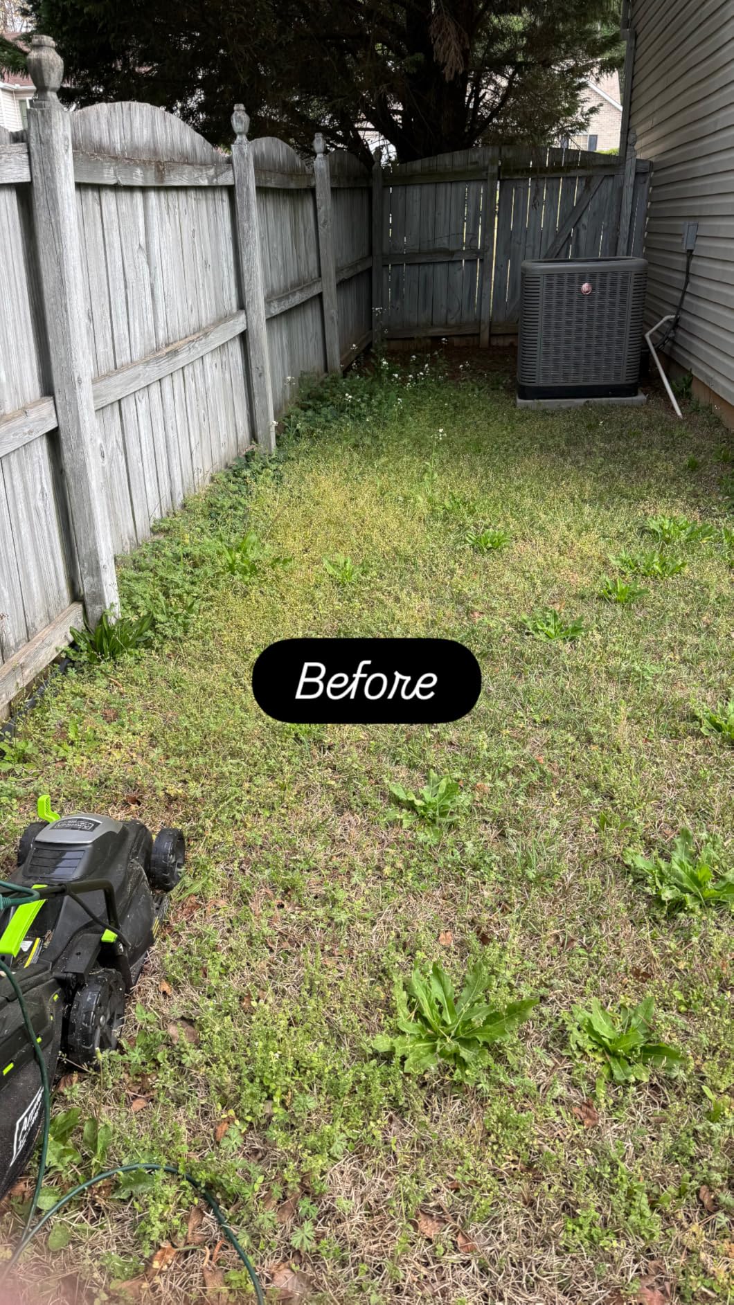 American Lawn Mower Company 50514 14