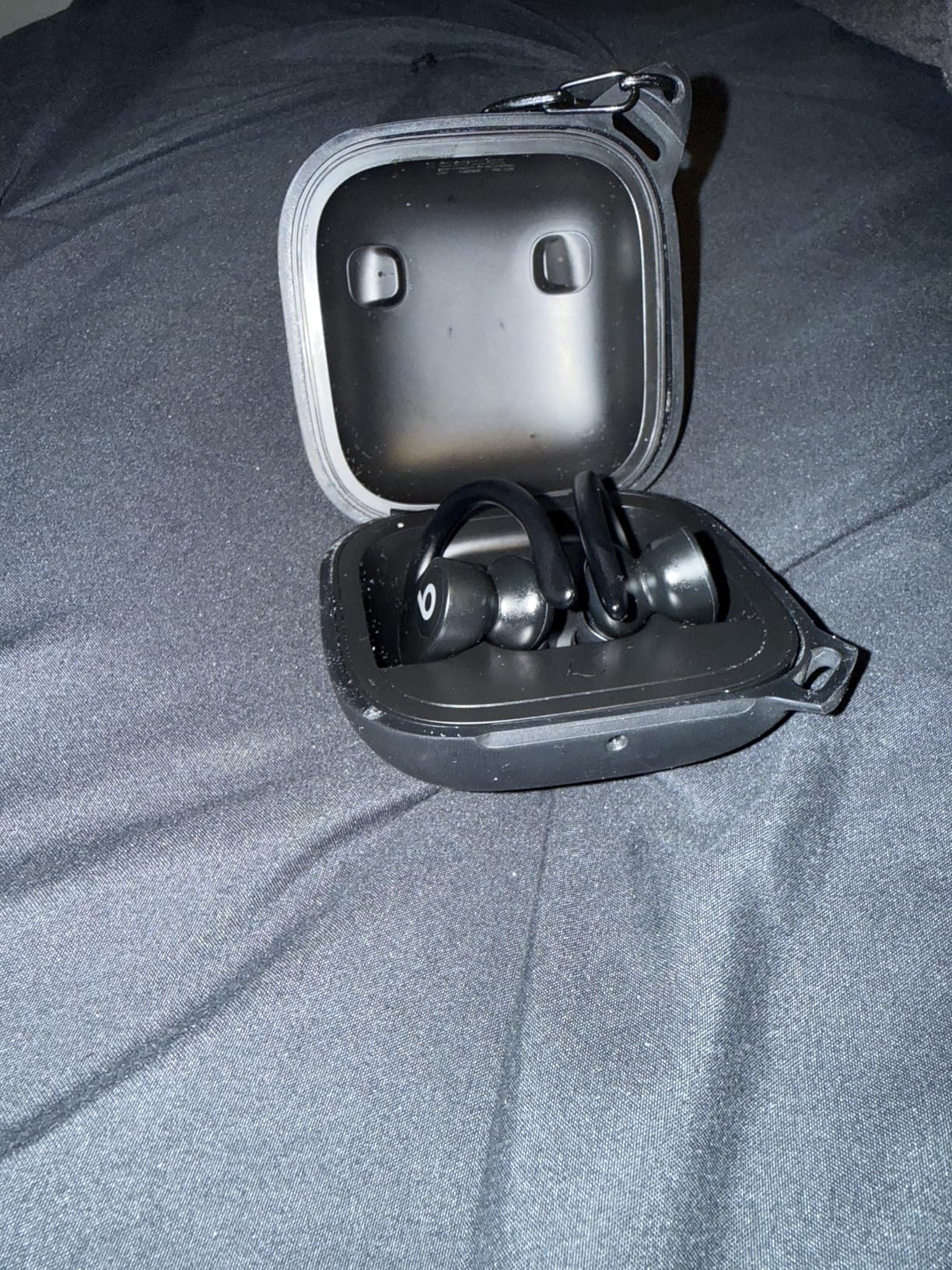Beats Powerbeats Pro Wireless Earbuds - Apple H1 Headphone Chip, Class 1 Bluetooth Headphones, 9 Hours of Listening Time, Sweat Resistant, Built-in Microphone - Black customer photo 1