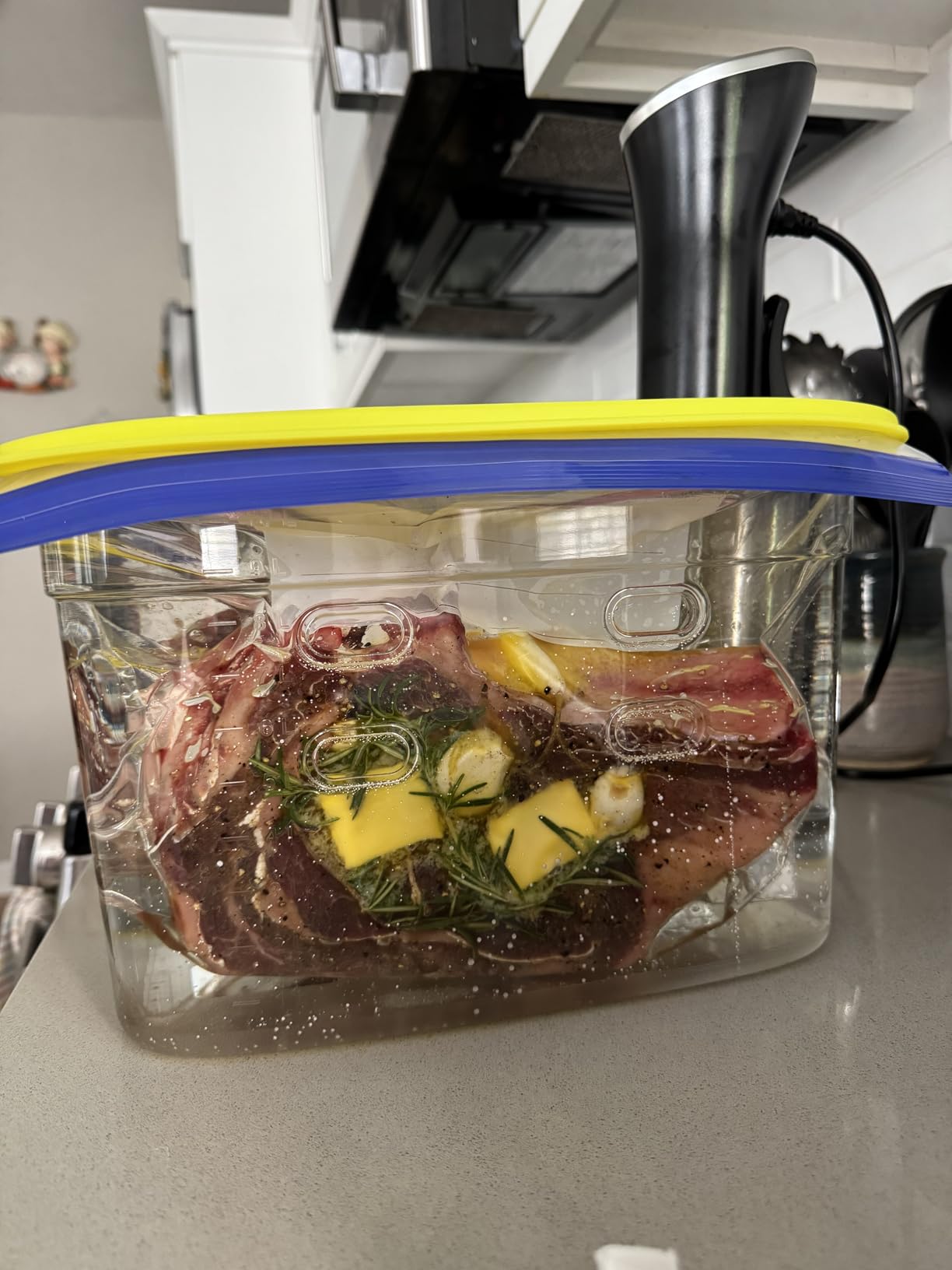 Sous Vide, Wancle Sous Vide Cooker 1100W IPX7 Waterproof Thermal Immersion Circulator With Reservation Function customer photo 1