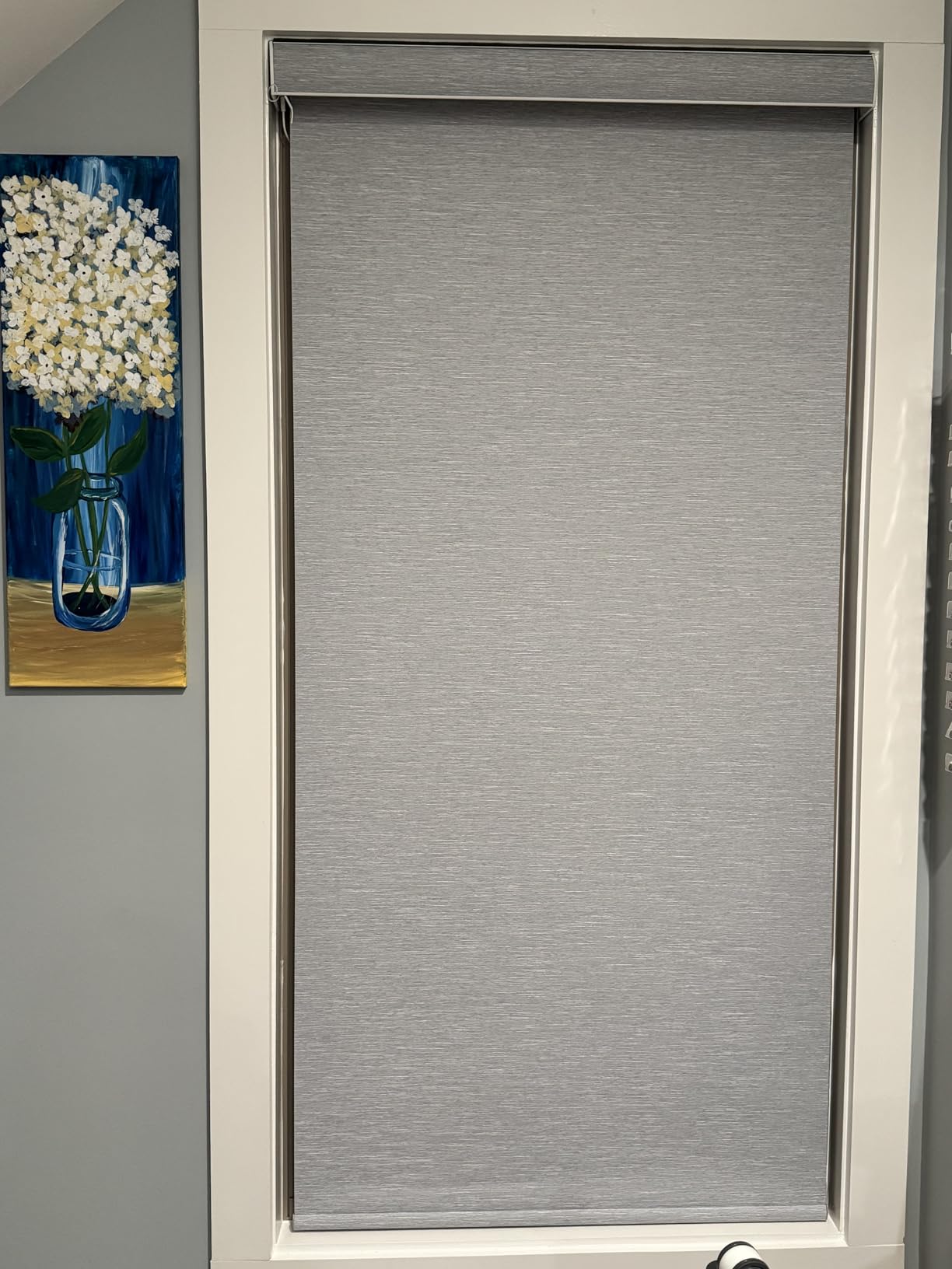 SmartWings Motorized Roller Shades Work with HomeKit, 100% Blackout Window Shades, Cordless Wireless Remote Control Roller Blinds for Smart Home customer photo 1