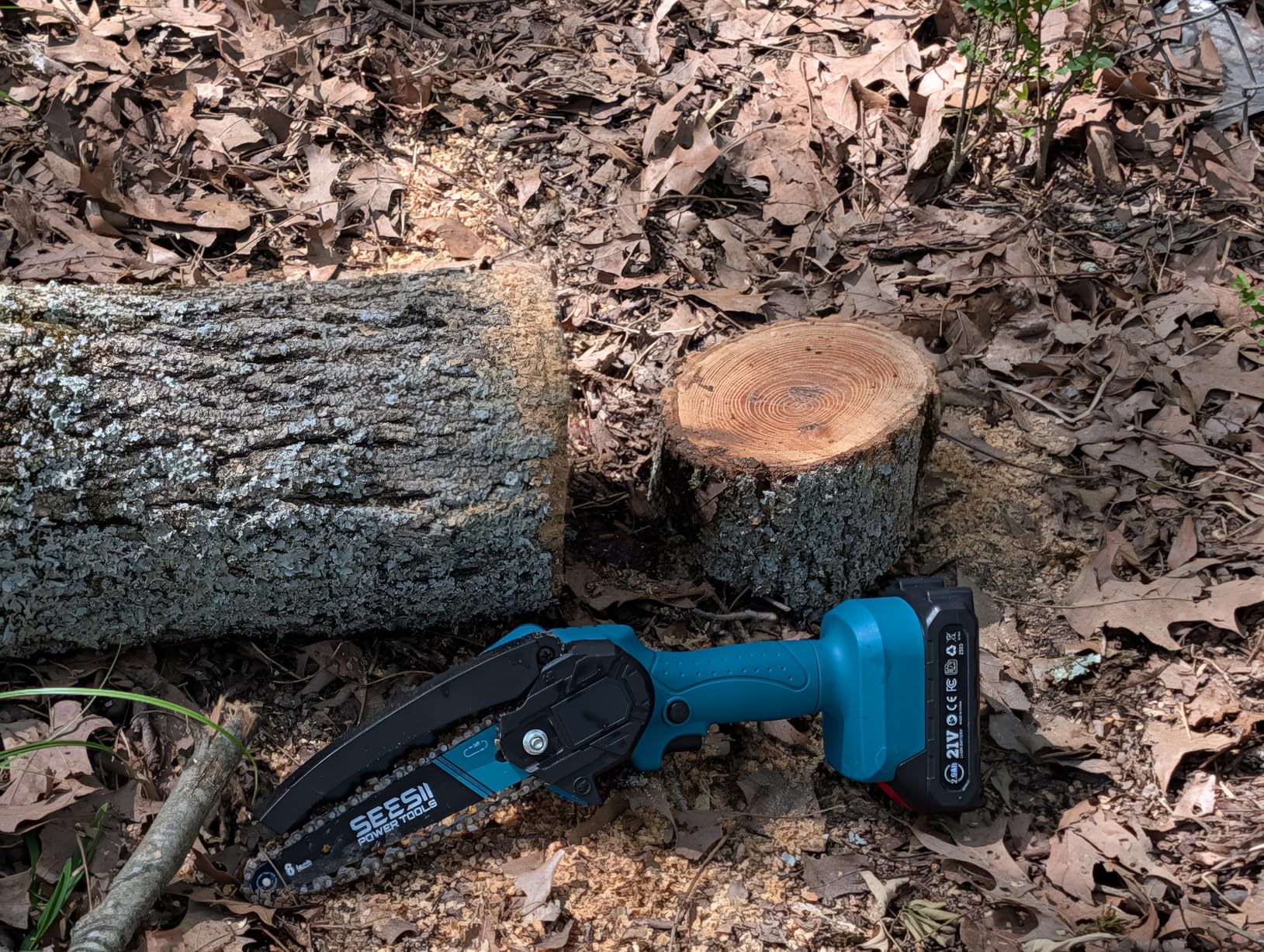 Seesii Mini Chainsaw, 6-inch Mini Chainsaw Cordless, Handheld Electric Power Chain Saw with 2 Batteries, for Tree Trimming Wood Cutting customer photo 1