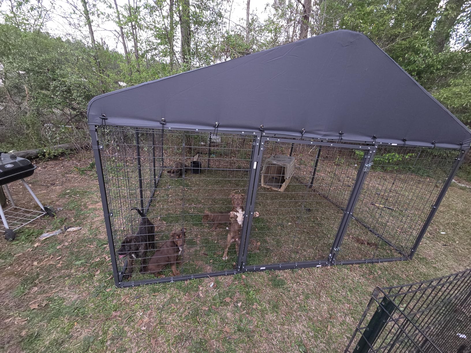 Dog Kennel Outdoor, 10x10x6 FT Heavy Duty Dog Pens Outside with UV & Water Resistant Roof, Large Dog Fence for Yard Metal Chicken Run with Double Locks customer photo 1