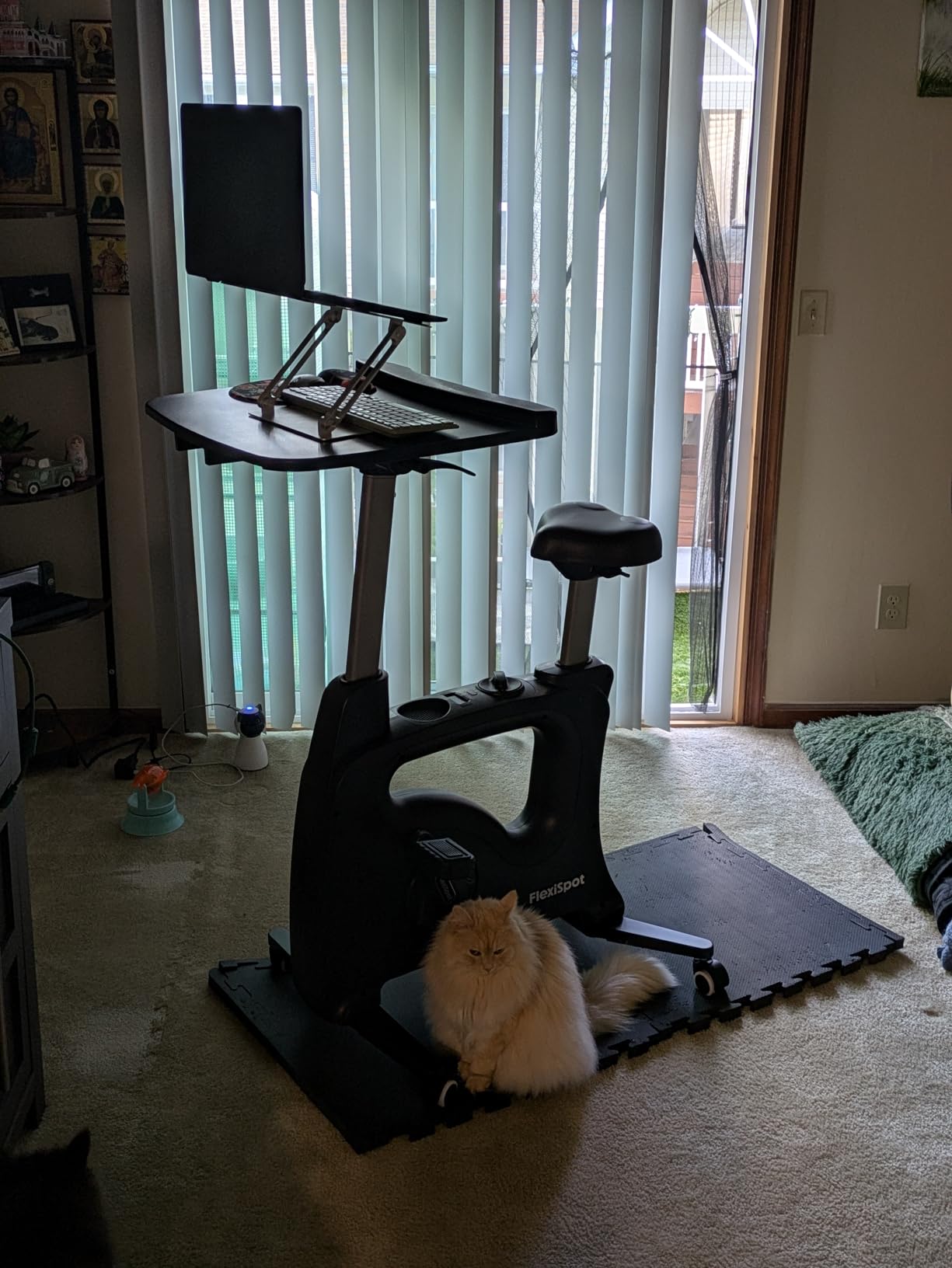 FLEXISPOT Exercise Bikes for Home, Space Saving Under Desk Bike, Stationary Bikes Indoor Bikes with Flywheel 300LBS Heavy Duty, Optional LCD/2D Desktop/8-Level Resistance, V8/V9/V9-MAX customer photo 1